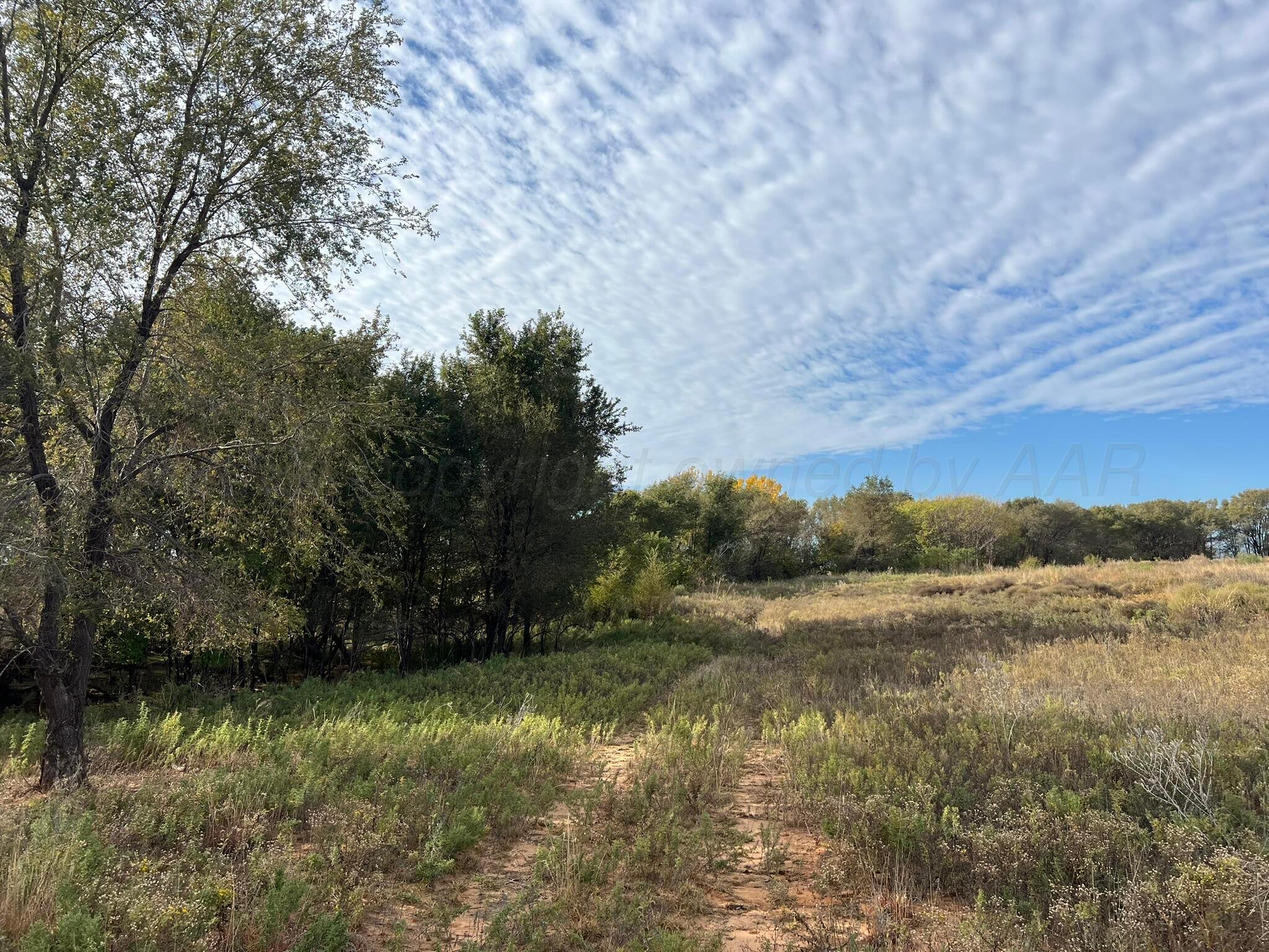 Tbd County Road 19, Memphis, Texas image 12