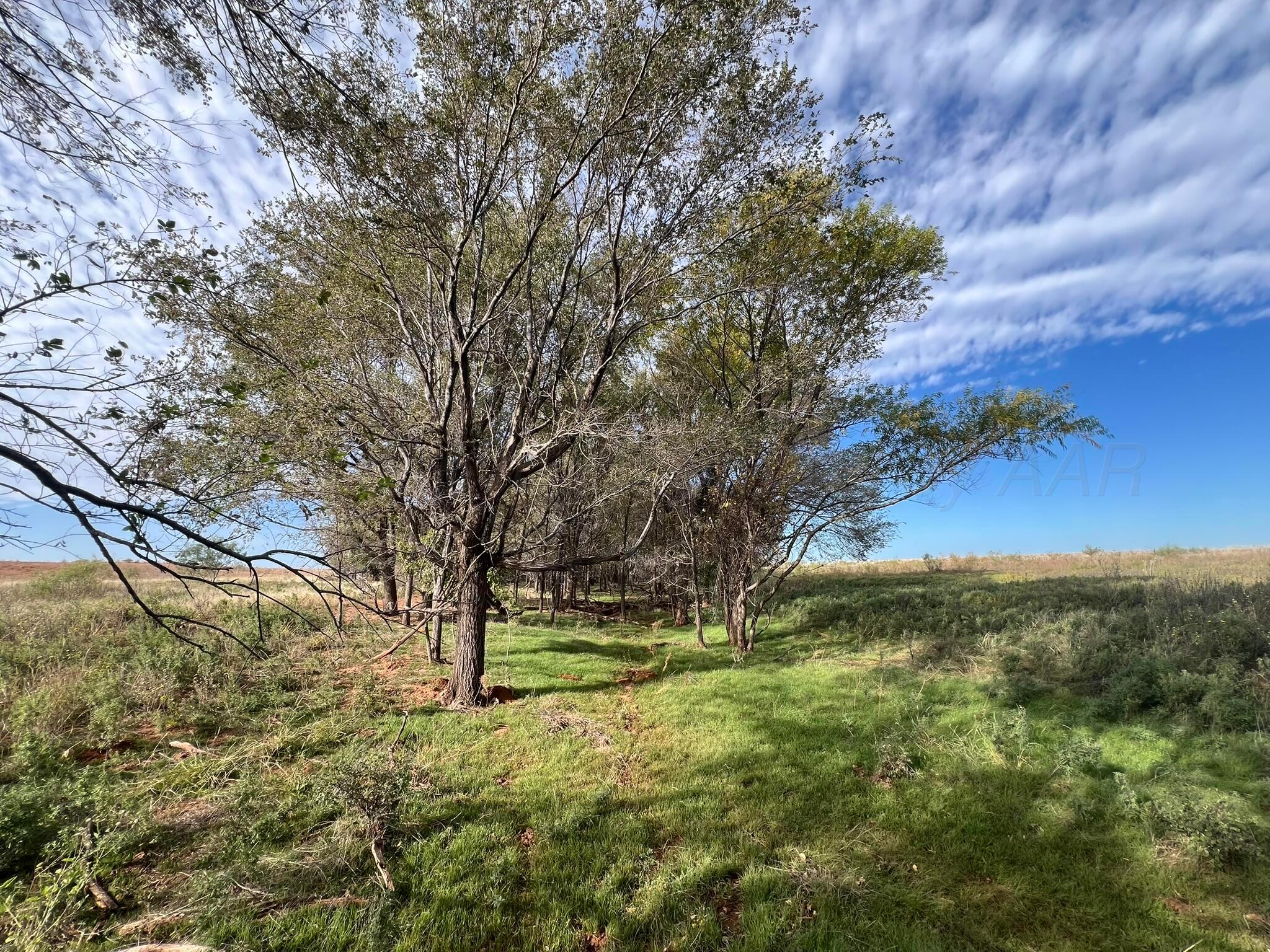 Tbd County Road 19, Memphis, Texas image 18