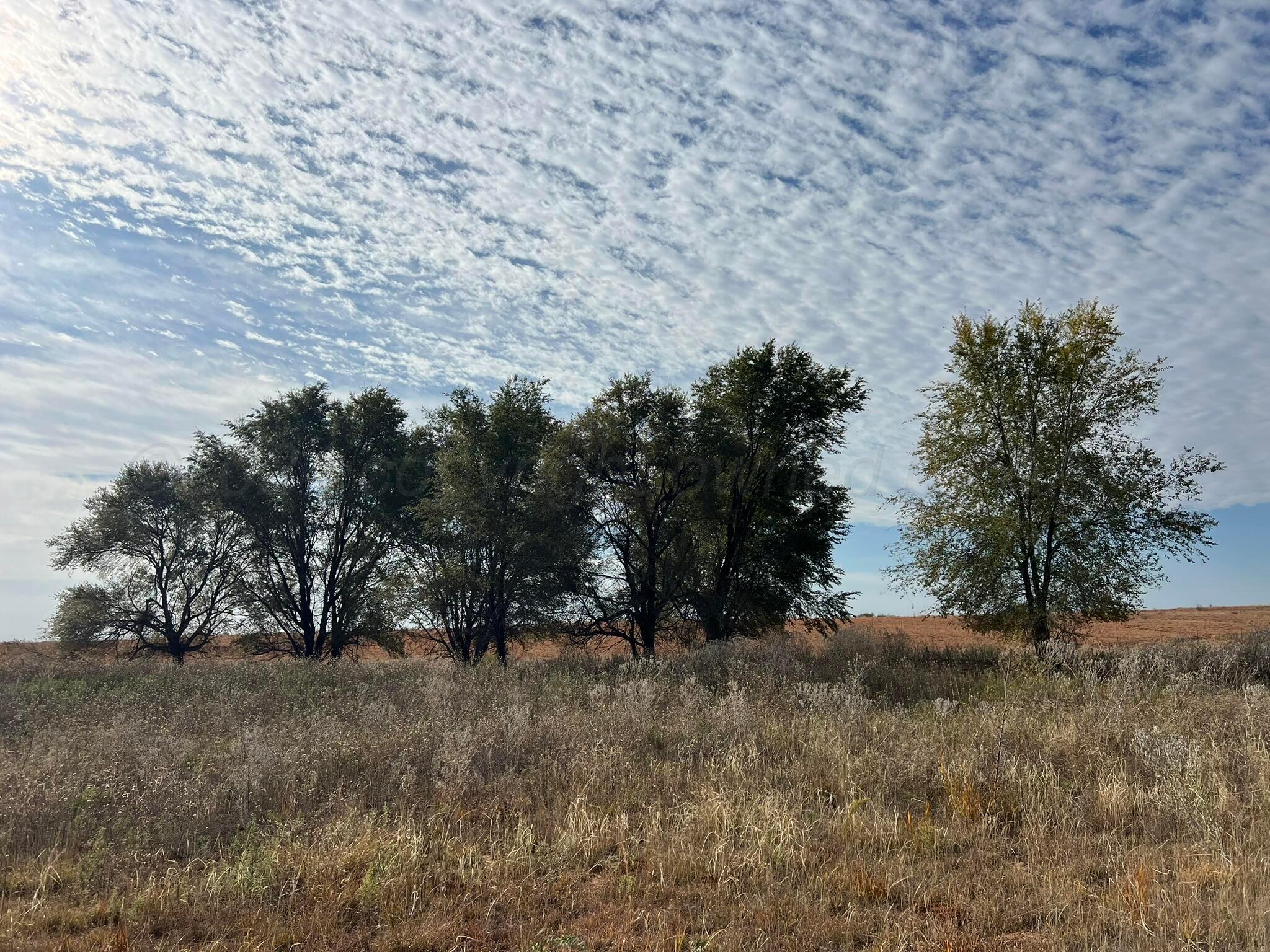 Tbd County Road 19, Memphis, Texas image 21