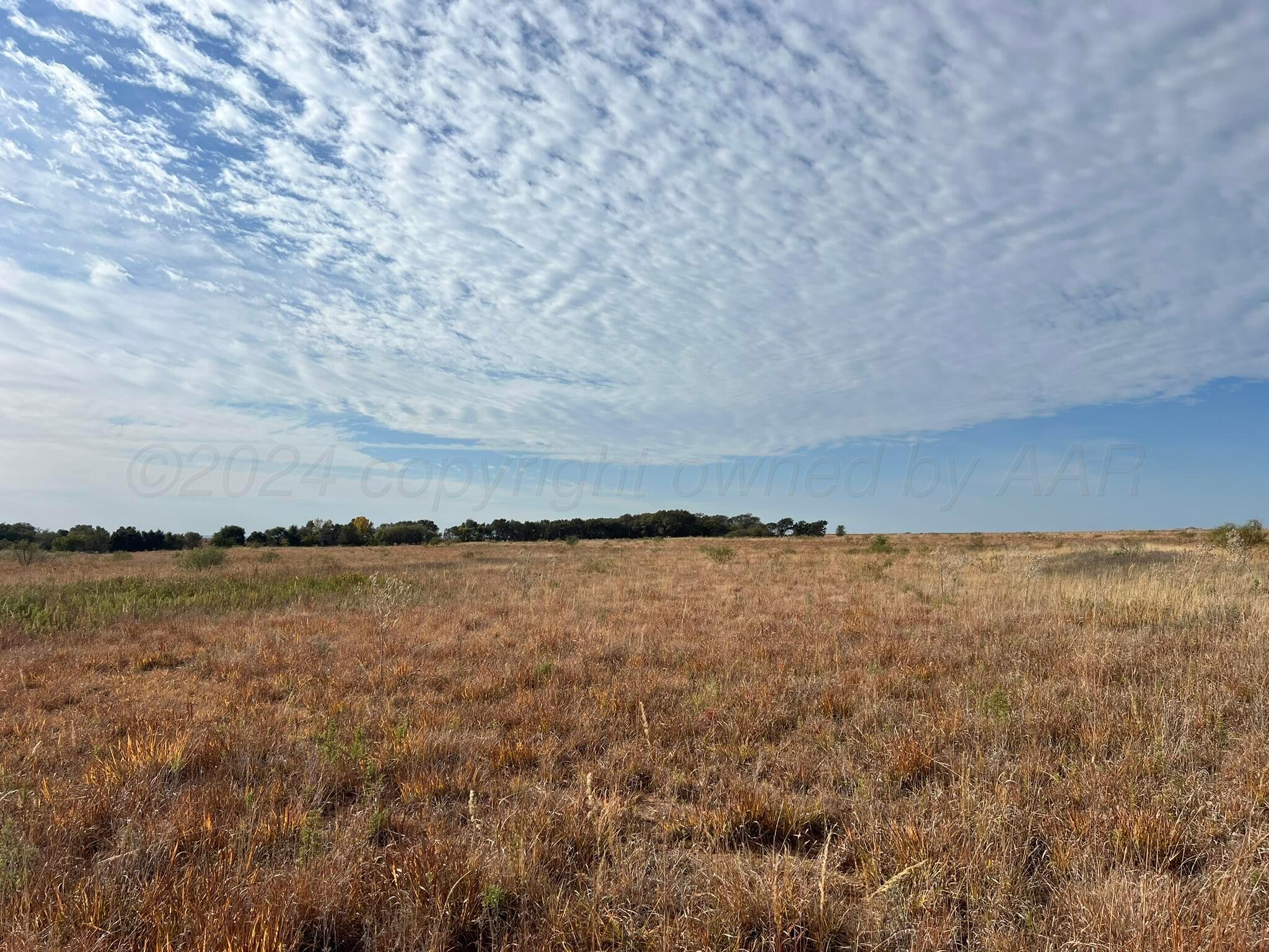 Tbd County Road 19, Memphis, Texas image 11