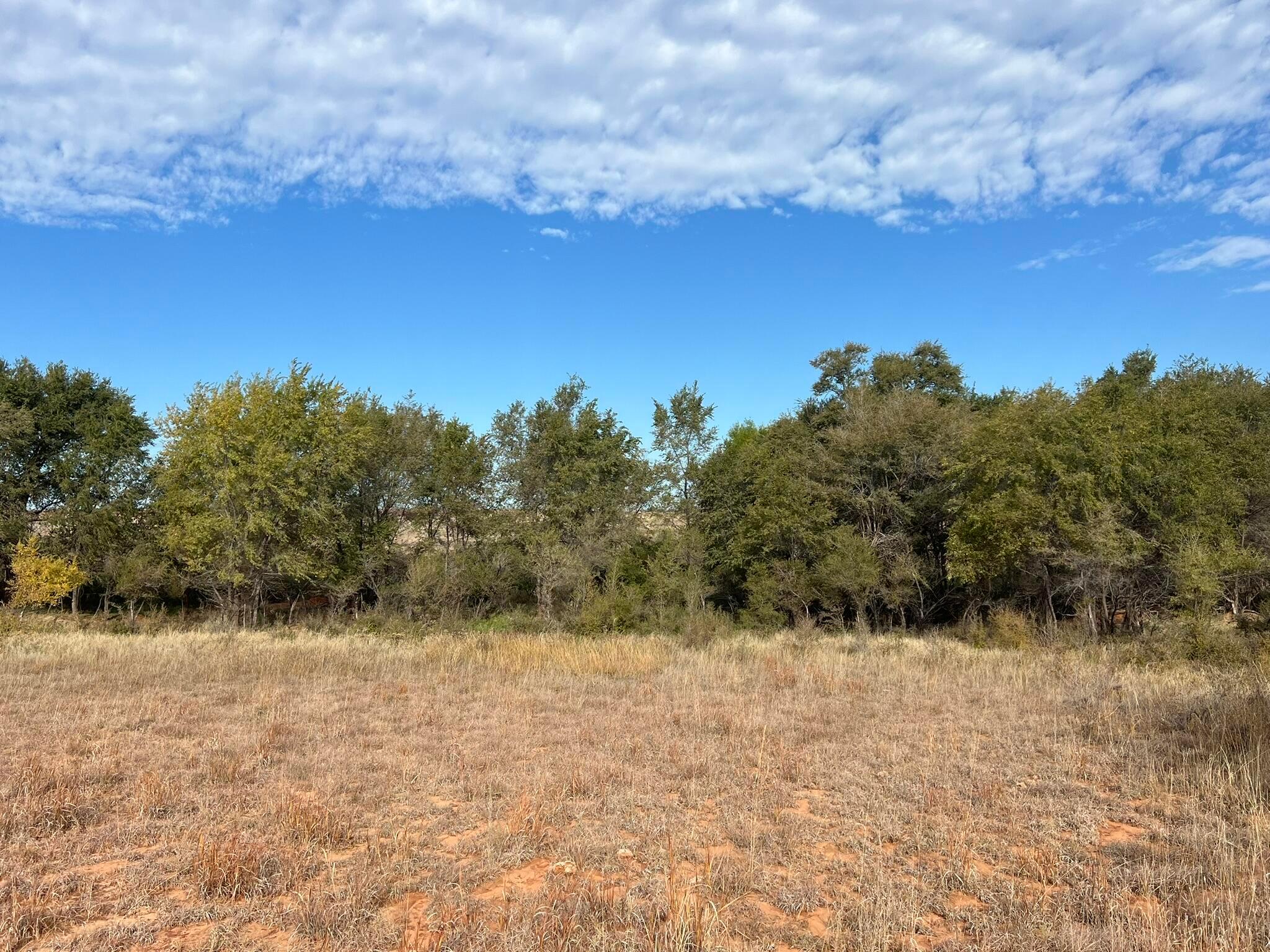 Tbd County Road 19, Memphis, Texas image 6