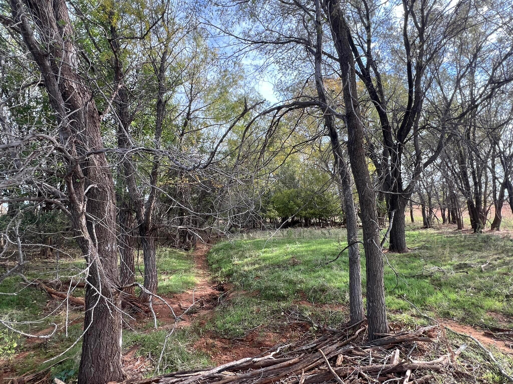 Tbd County Road 19, Memphis, Texas image 17