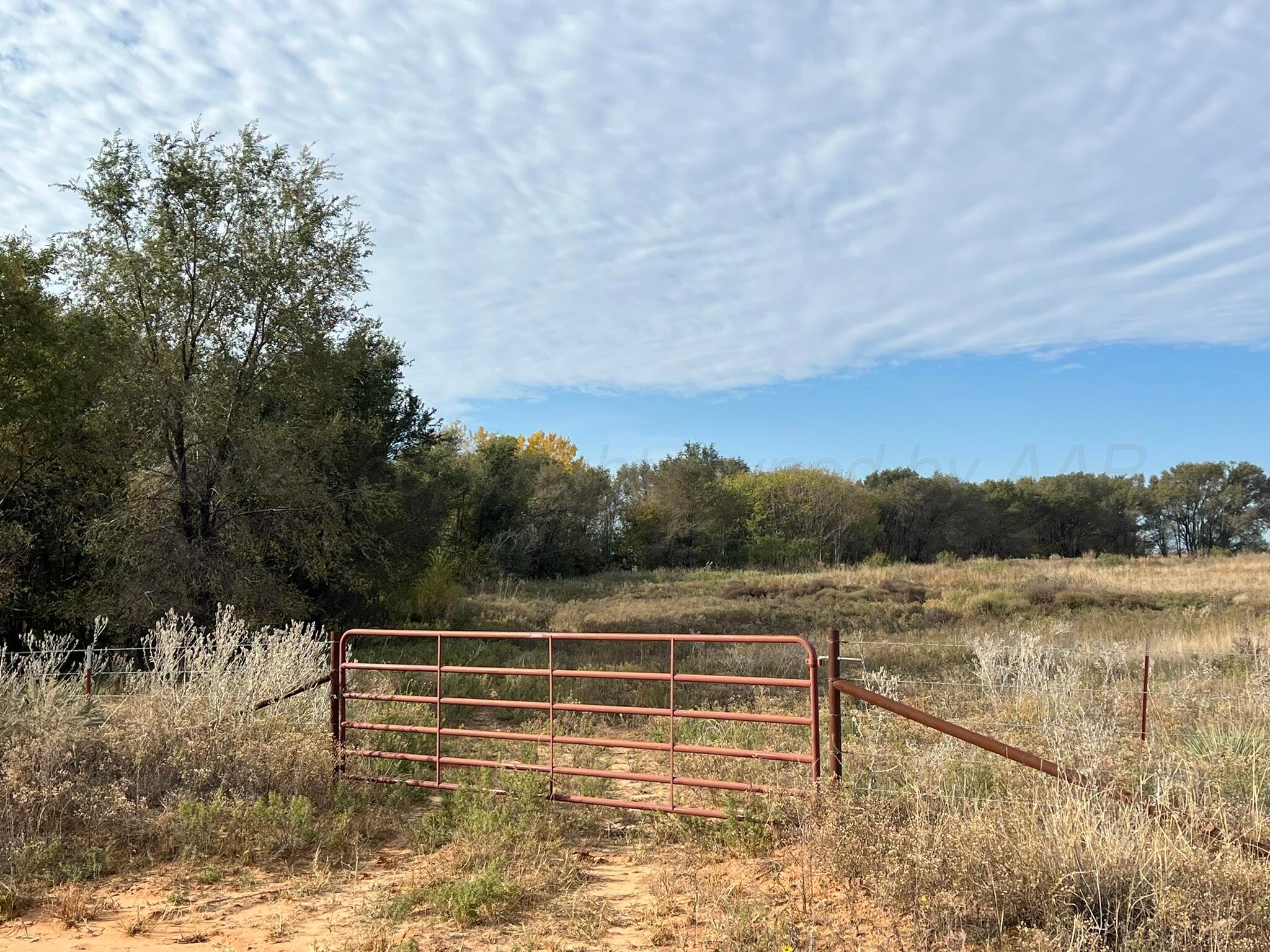 Tbd County Road 19, Memphis, Texas image 1