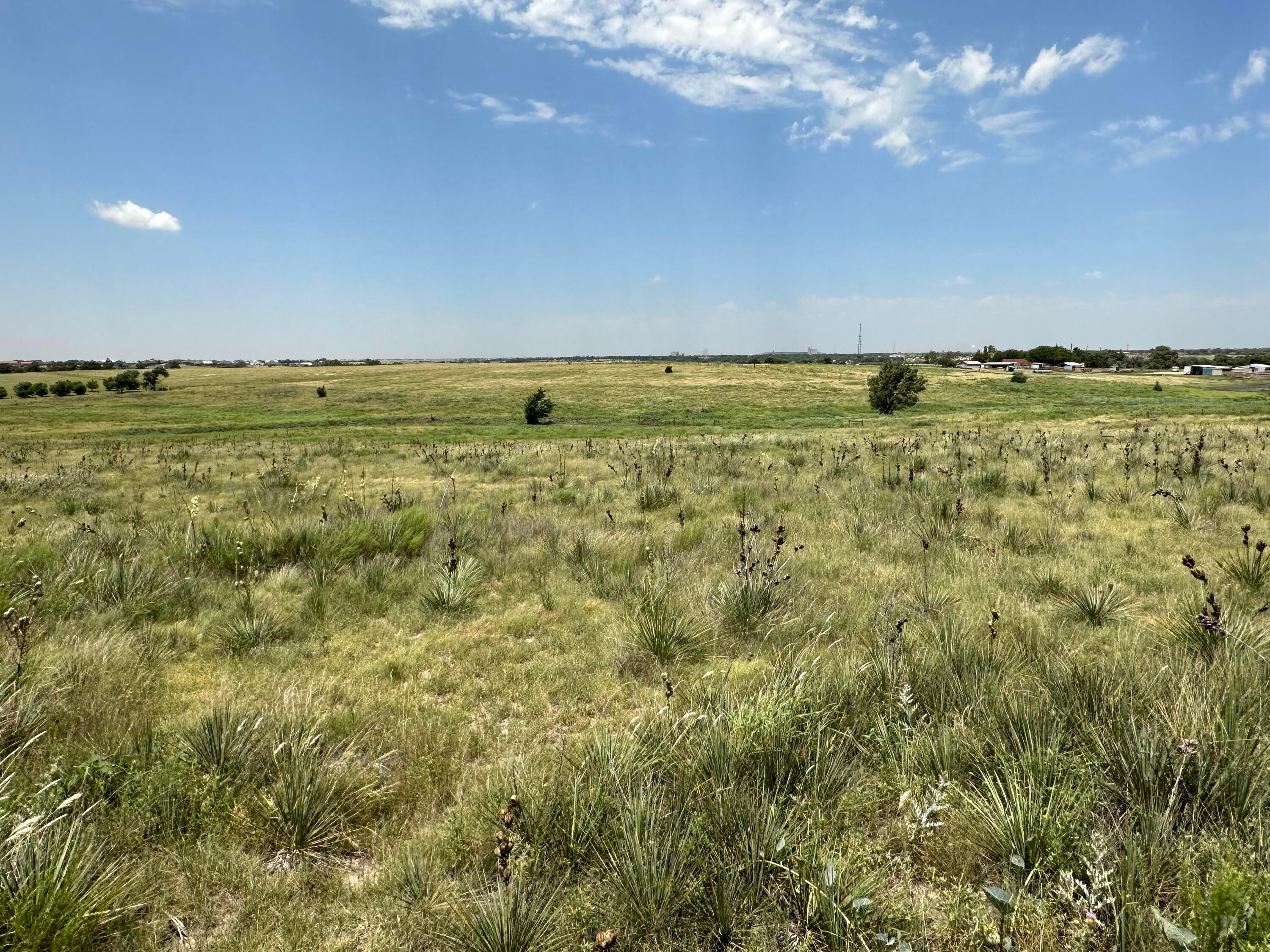 26180 Newton Road, Canyon, Texas image 3