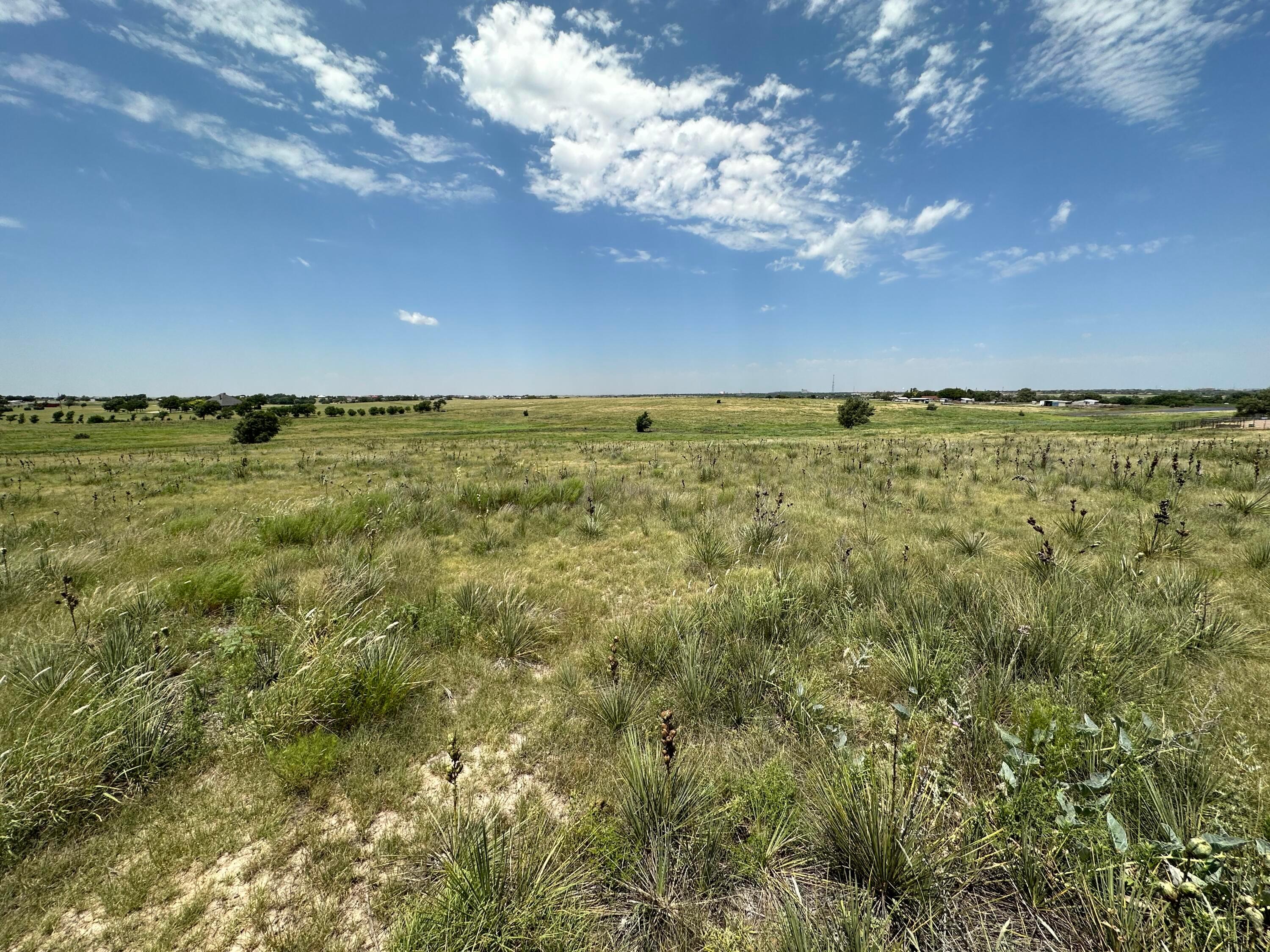 26180 Newton Road, Canyon, Texas image 2
