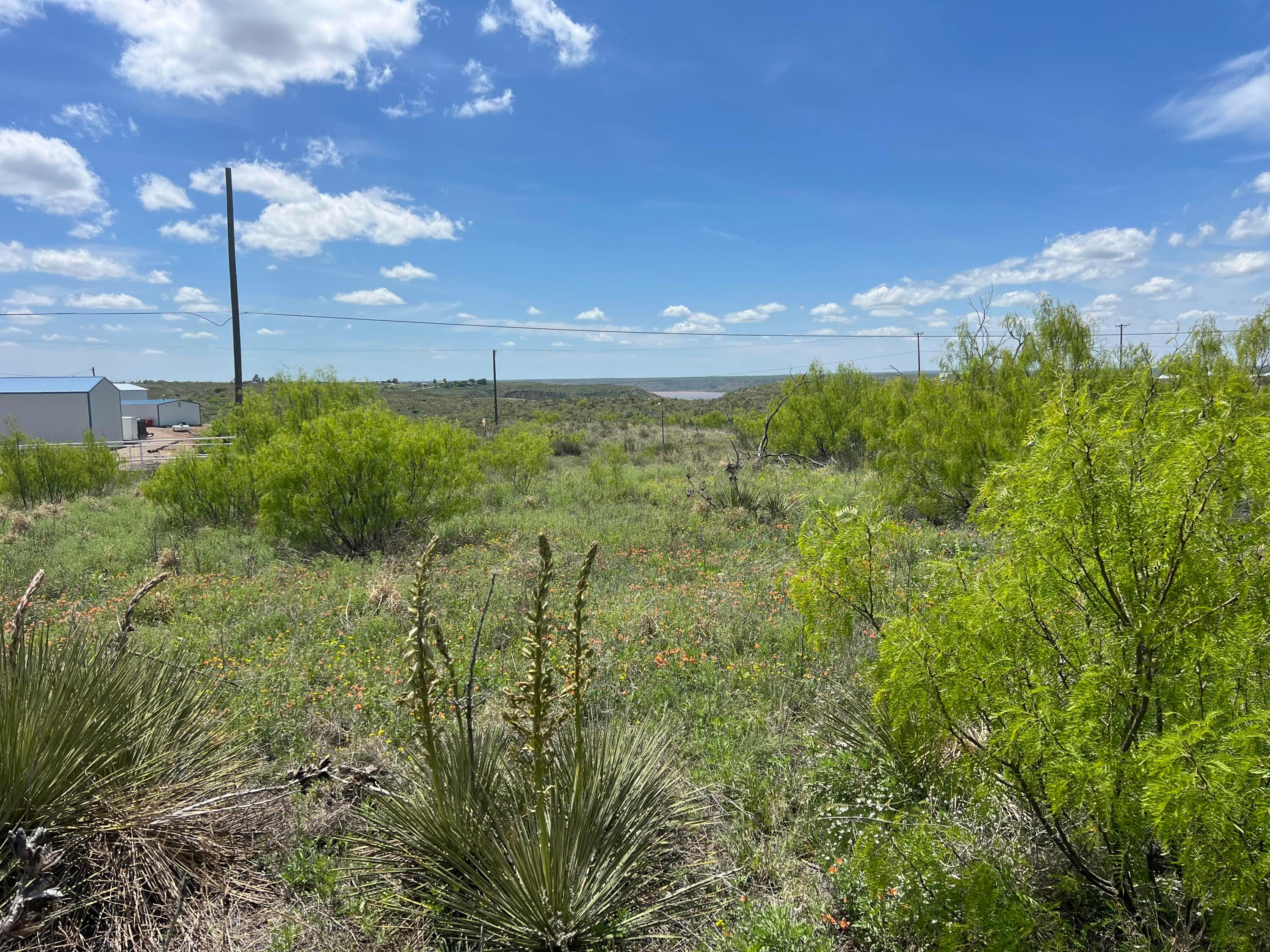 225 N Sunflower Lane, Fritch, Idaho image 4