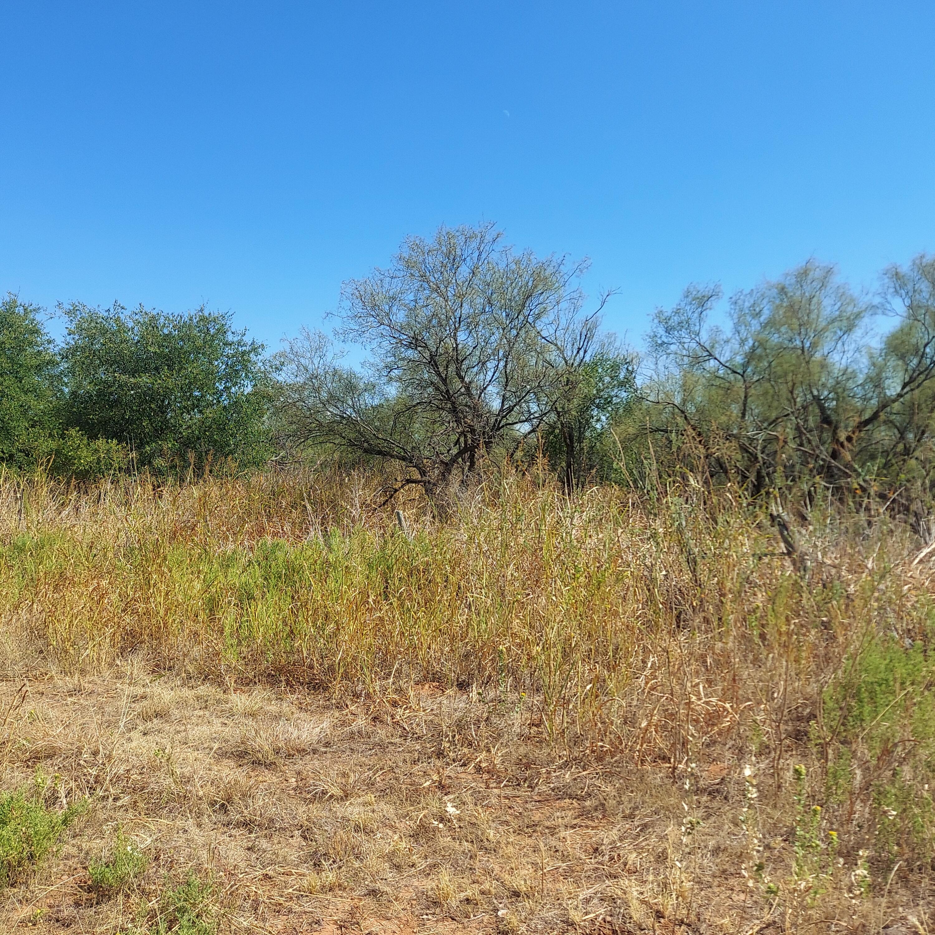 Us Hwy 83 S, Childress, Texas image 6