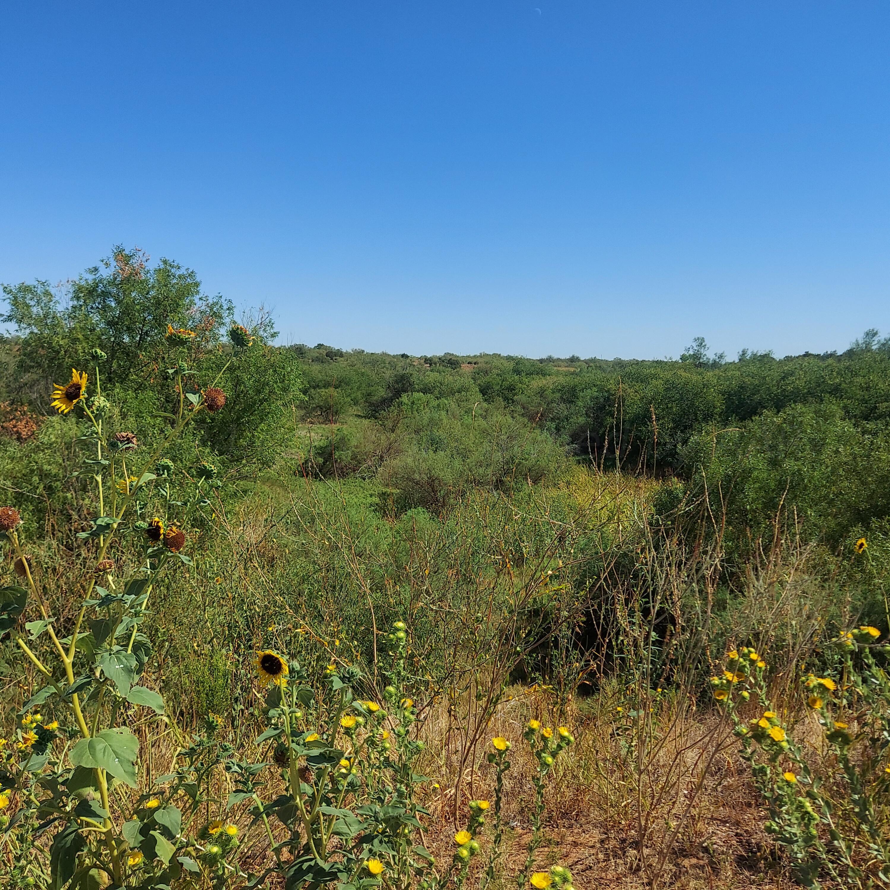 Us Hwy 83 S, Childress, Texas image 2