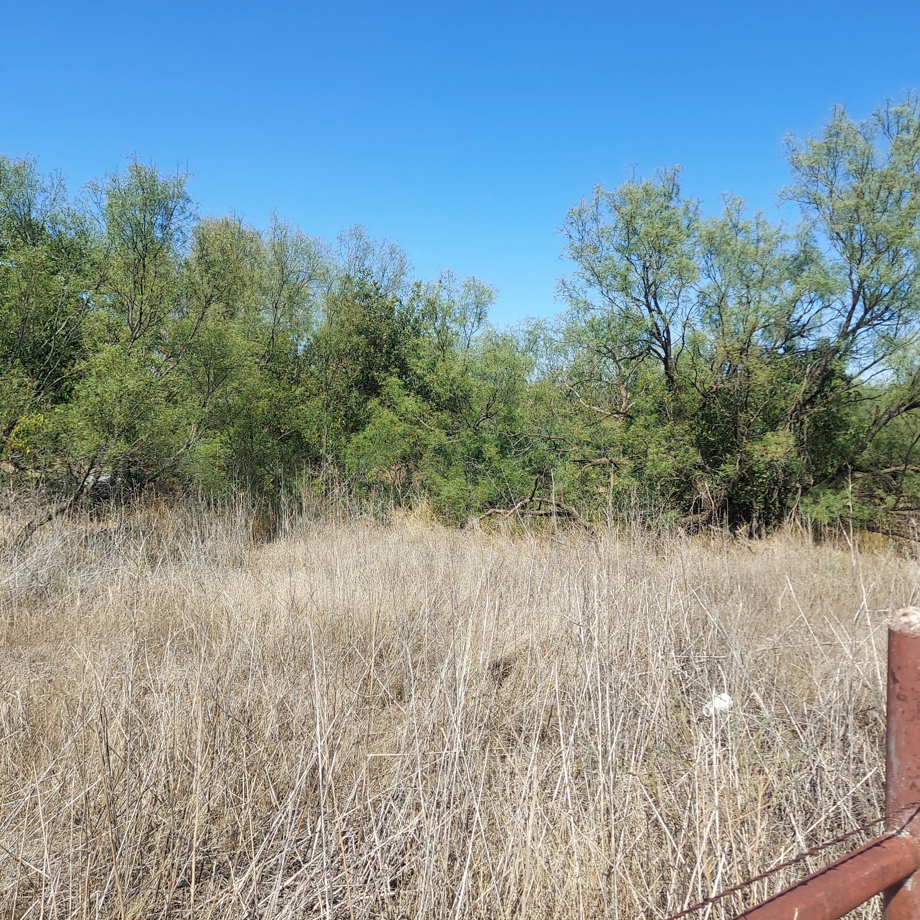 Us Hwy 83 S, Childress, Texas image 4