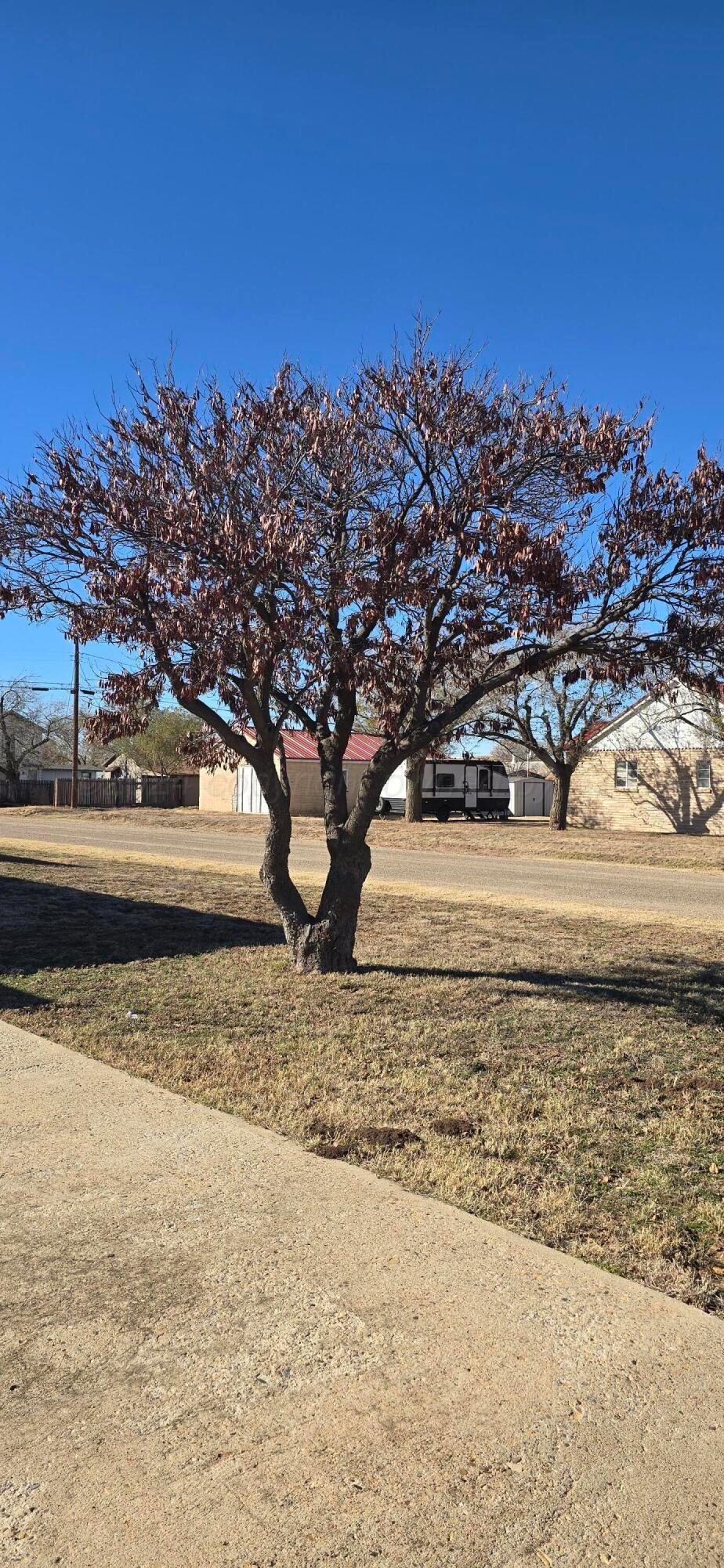 309 N Sheridan Avenue #150, Fritch, Texas image 7