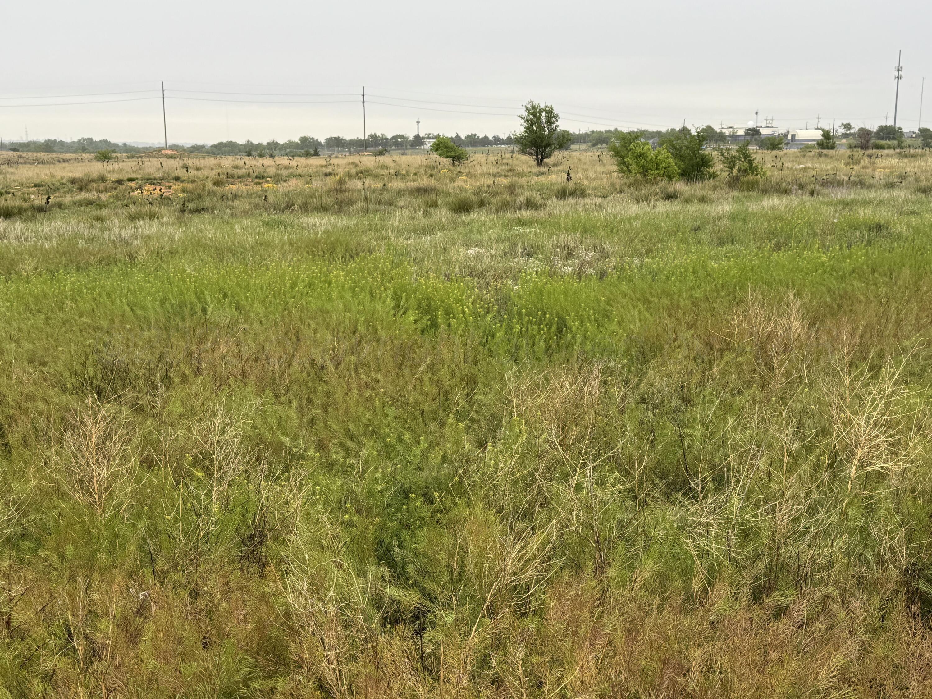 203 NW 16th Avenue, Amarillo, Alaska image 1
