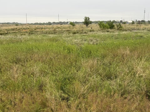 Homes For Sale - 203 NW 16th Avenue<br/> Amarillo, TX 79101