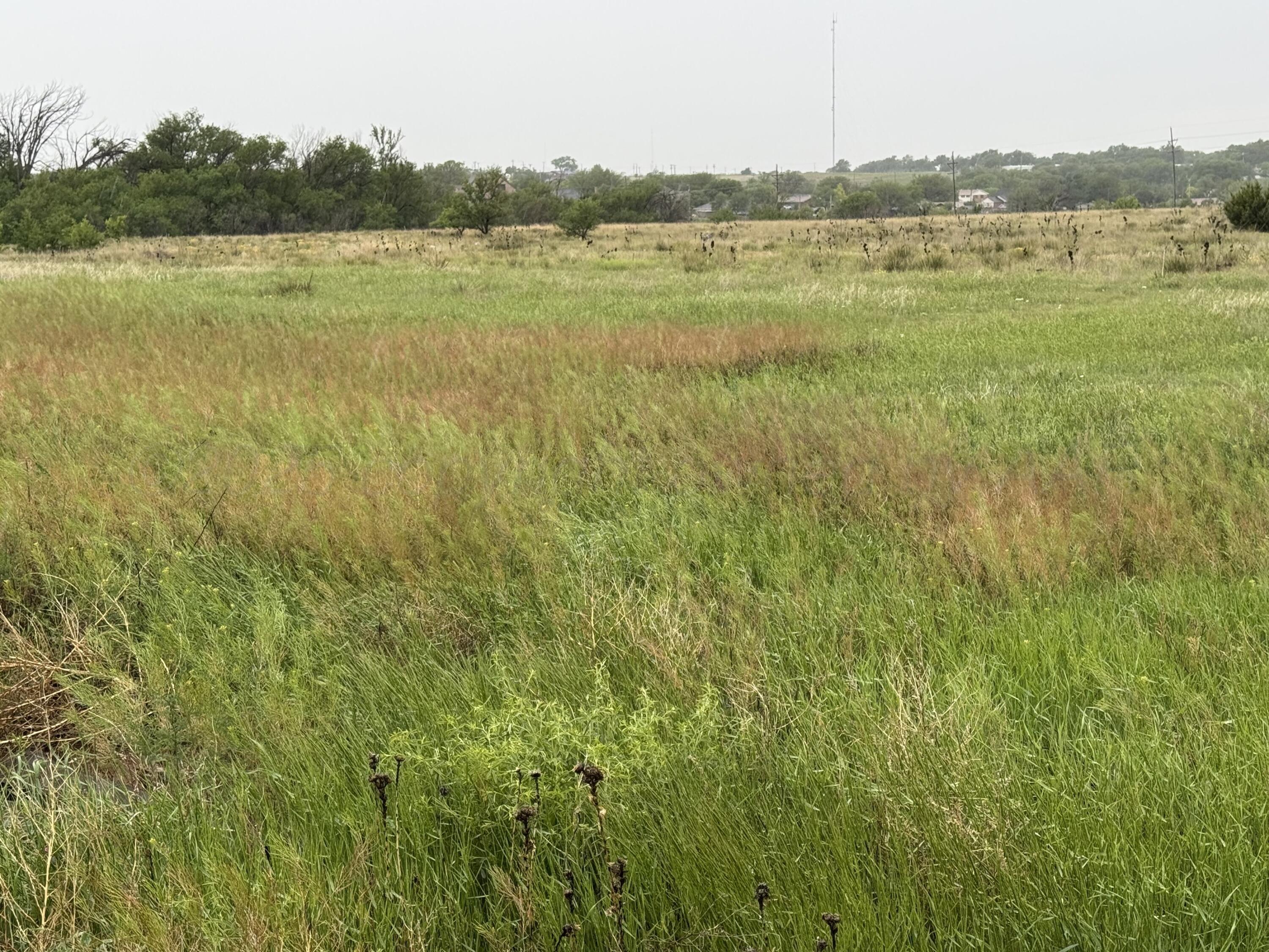 203 NW 16th Avenue, Amarillo, Alaska image 3