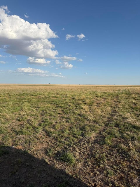Vacant Land For Sale - County Rd 305<br/> Amarillo, TX 79108