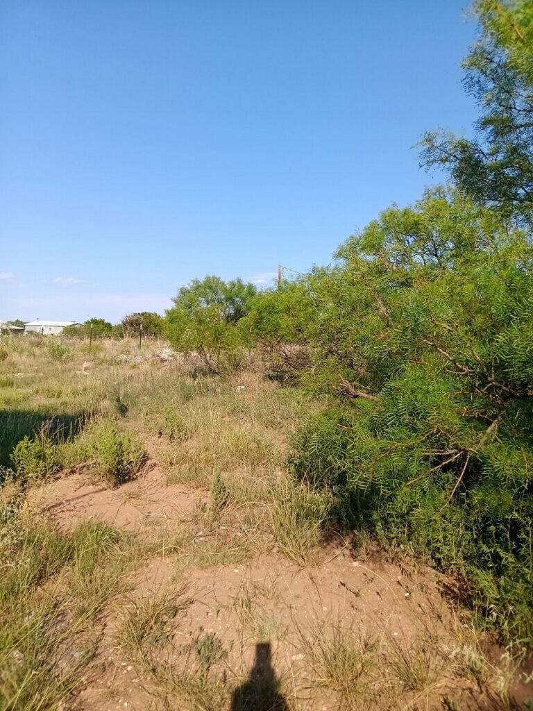 9405 Flintridge Loop, Fritch, Texas image 12