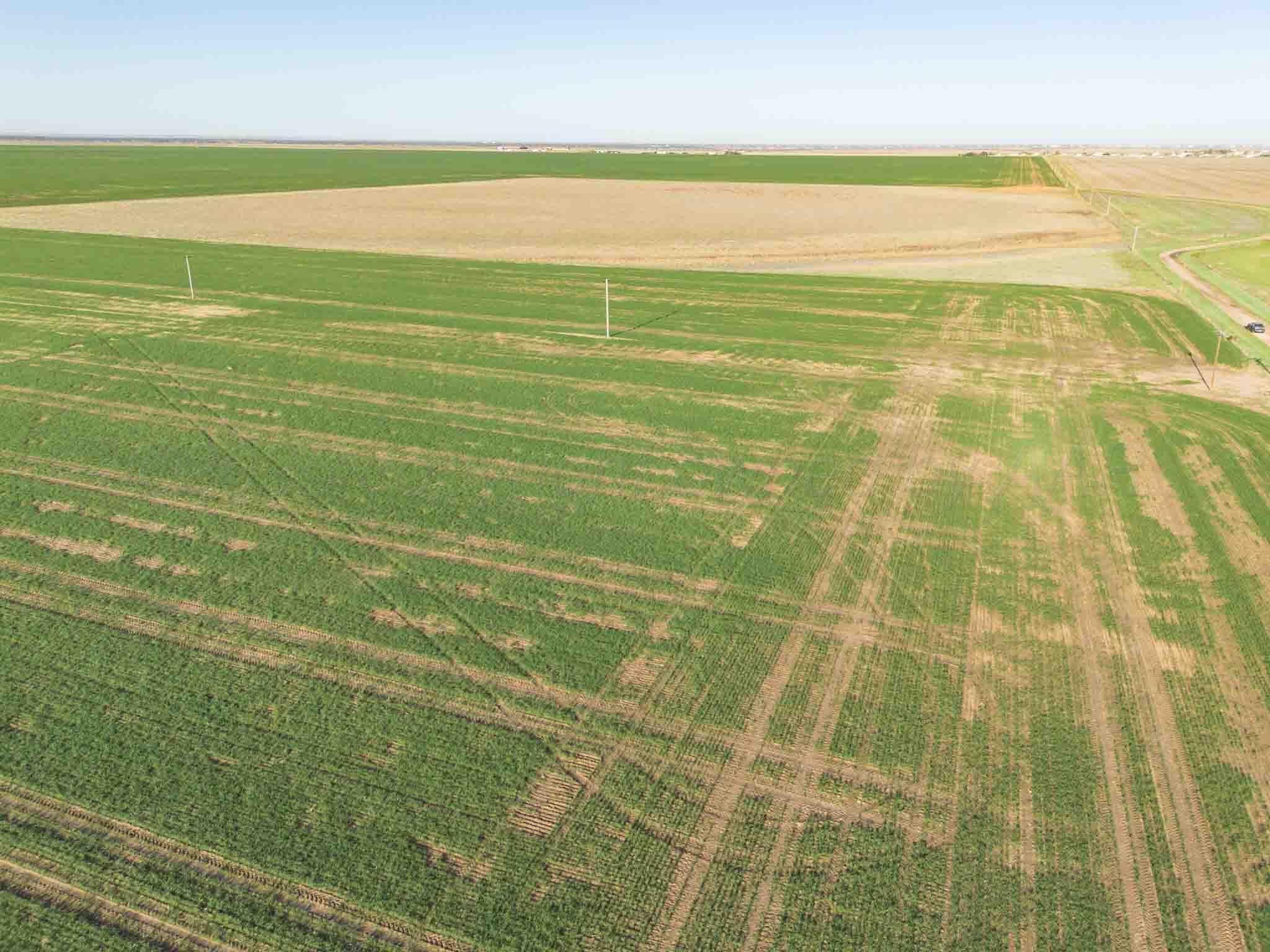 3450 S Friemel 3,474.24 Acres Pullman Road #8, Claude, Idaho image 8