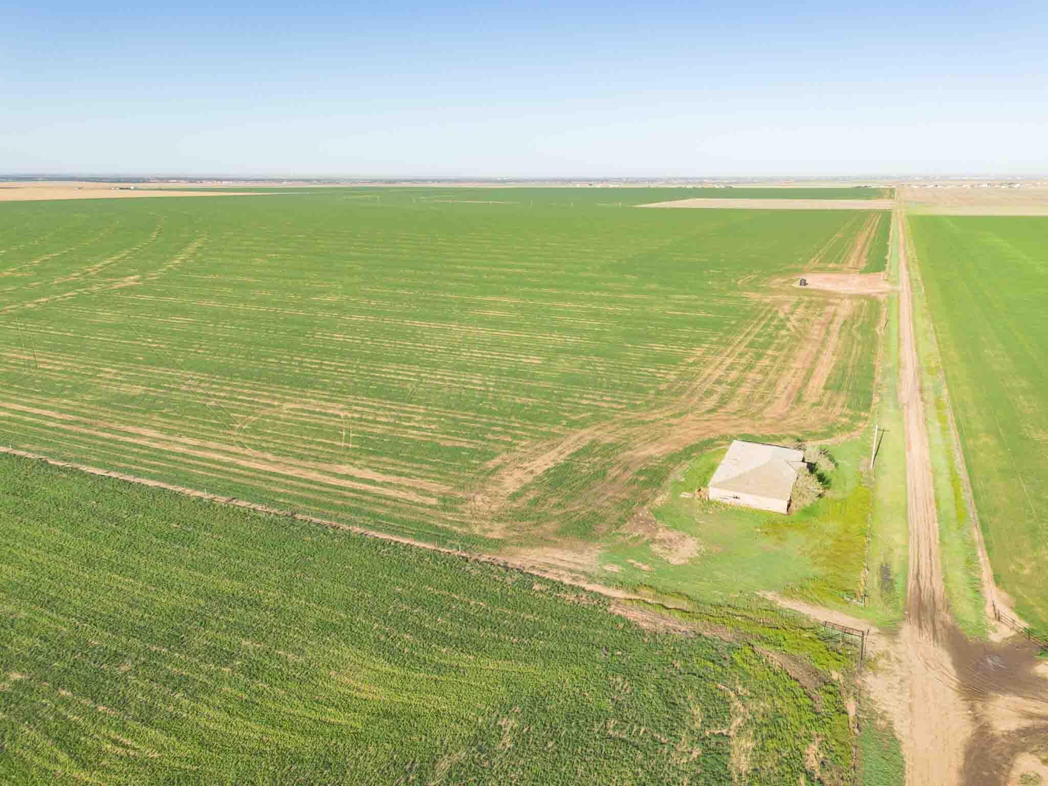 3450 S Friemel 3,474.24 Acres Pullman Road #8, Claude, Idaho image 13