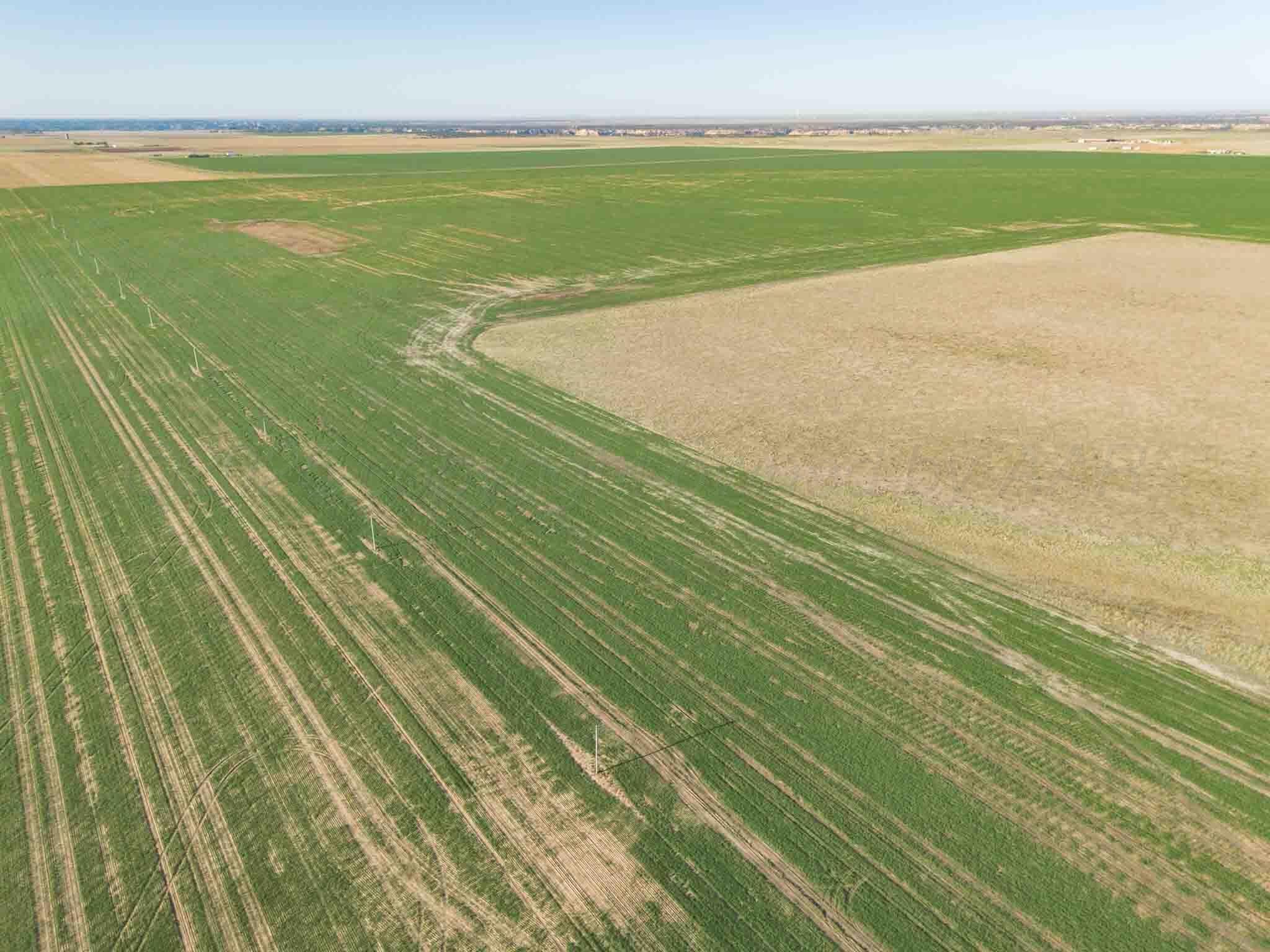 3450 S Friemel 3,474.24 Acres Pullman Road #8, Claude, Idaho image 18