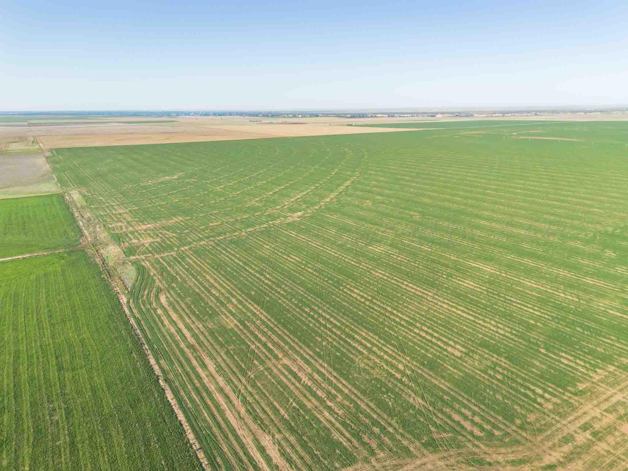 3450 S Friemel 3,474.24 Acres Pullman Road #8, Claude, Idaho image 15