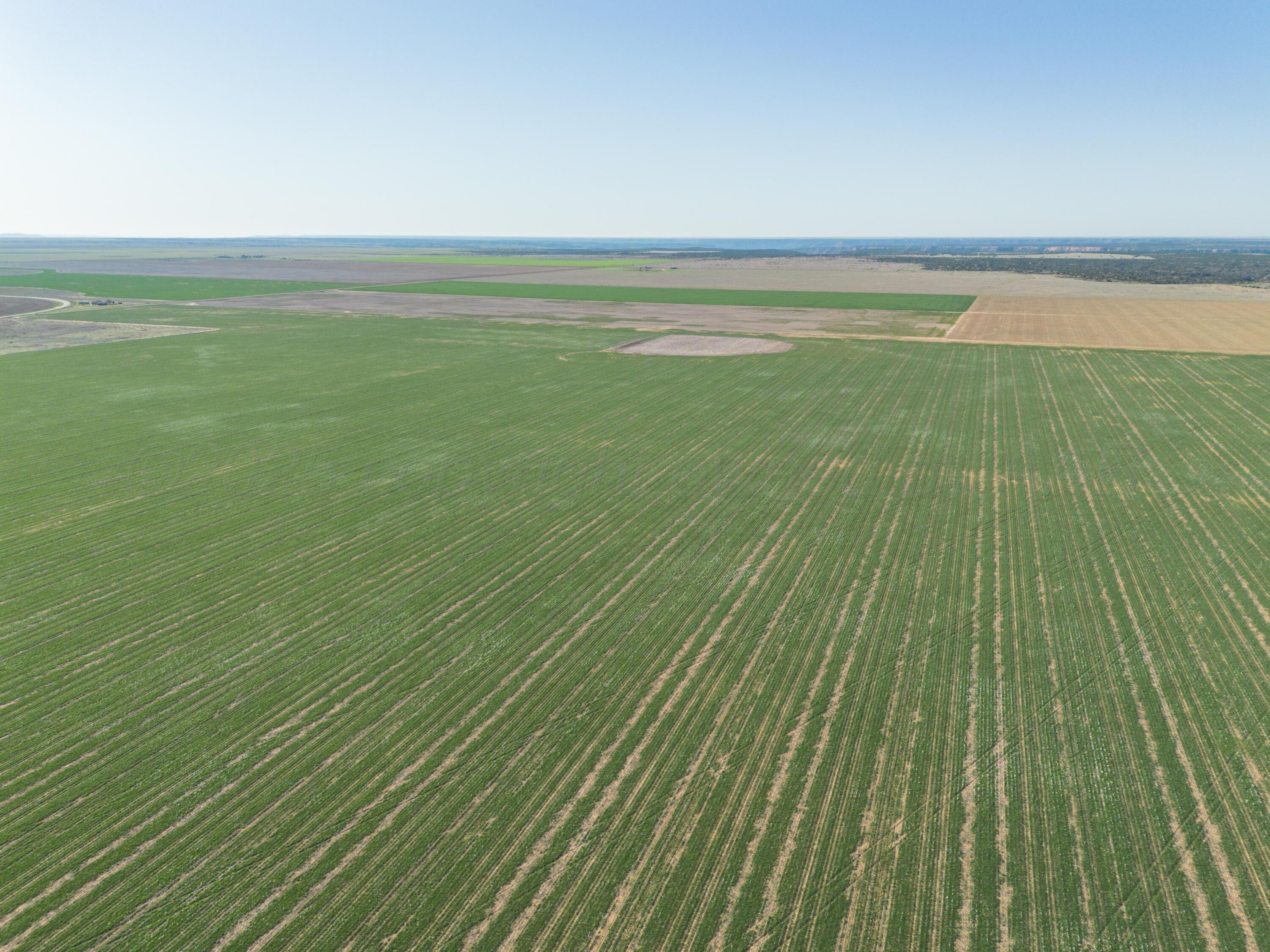 3450 S Friemel 3,474.24 Acres Pullman Road #8, Claude, Idaho image 33
