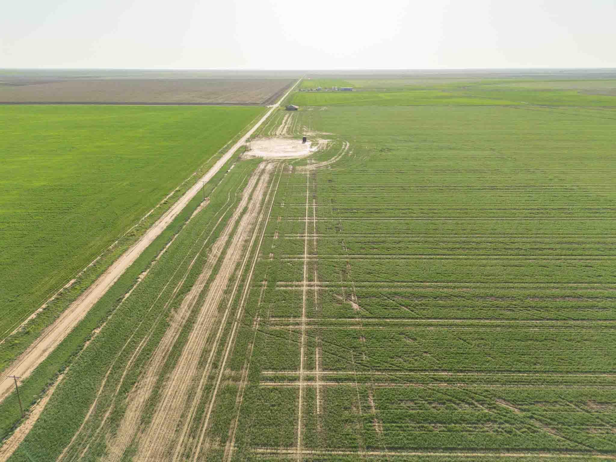 3450 S Friemel 3,474.24 Acres Pullman Road #8, Claude, Idaho image 9
