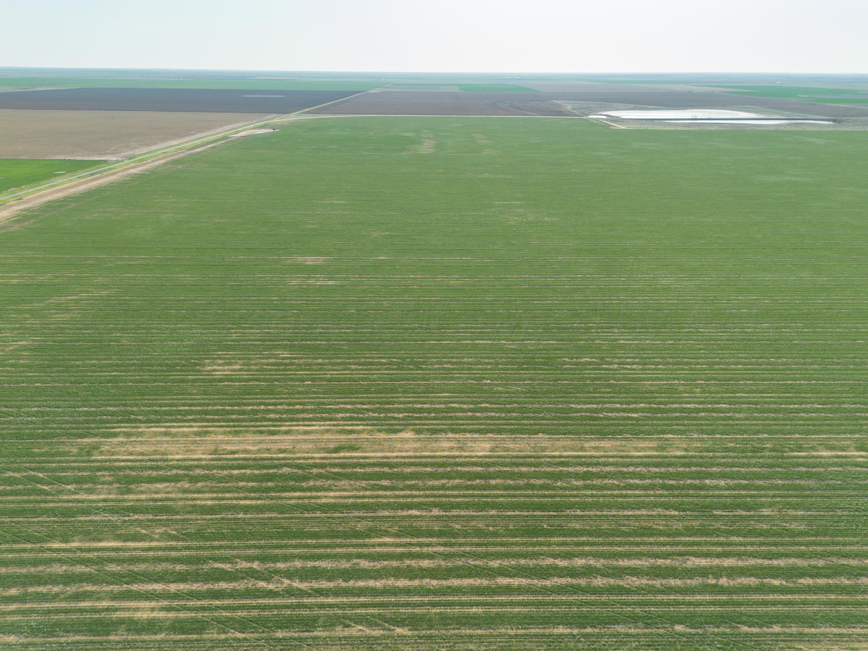 3450 S Friemel 3,474.24 Acres Pullman Road #8, Claude, Idaho image 31