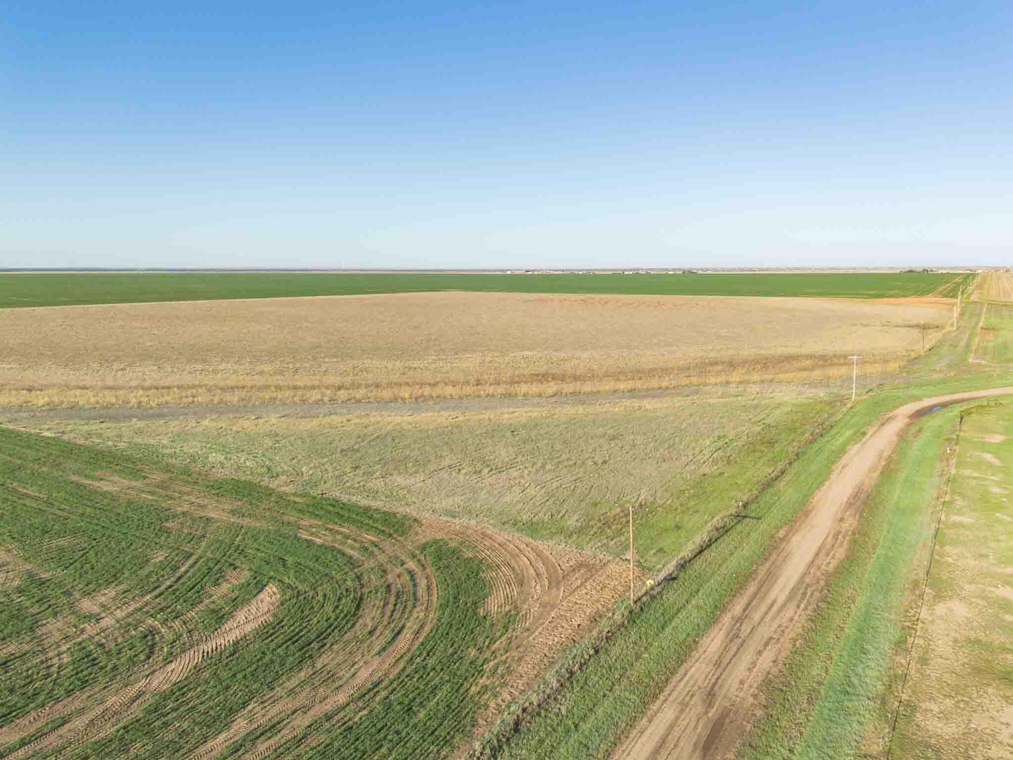 3450 S Friemel 3,474.24 Acres Pullman Road #8, Claude, Idaho image 5