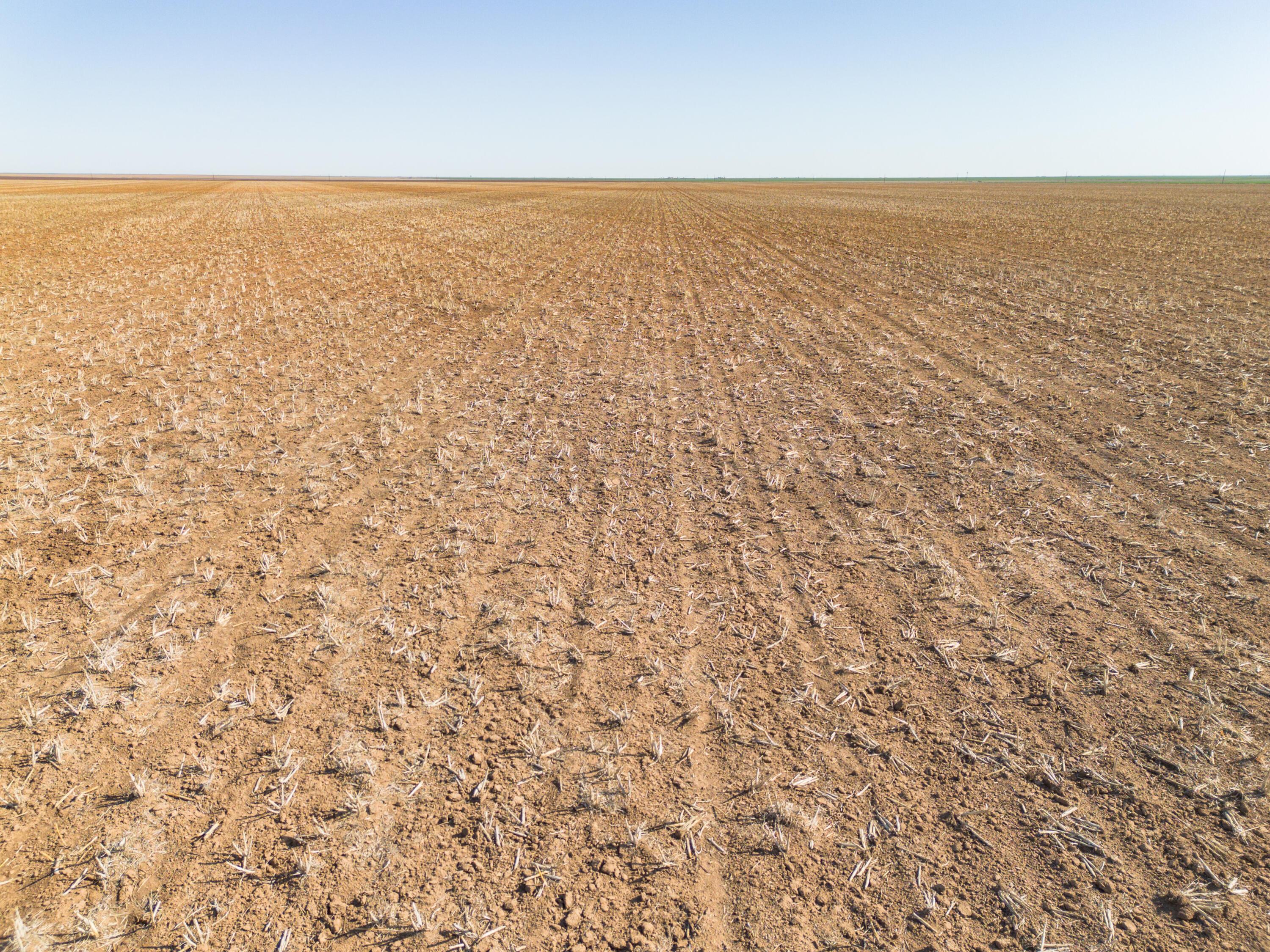 3450 S Friemel 3,474.24 Acres Pullman Road #8, Claude, Idaho image 46