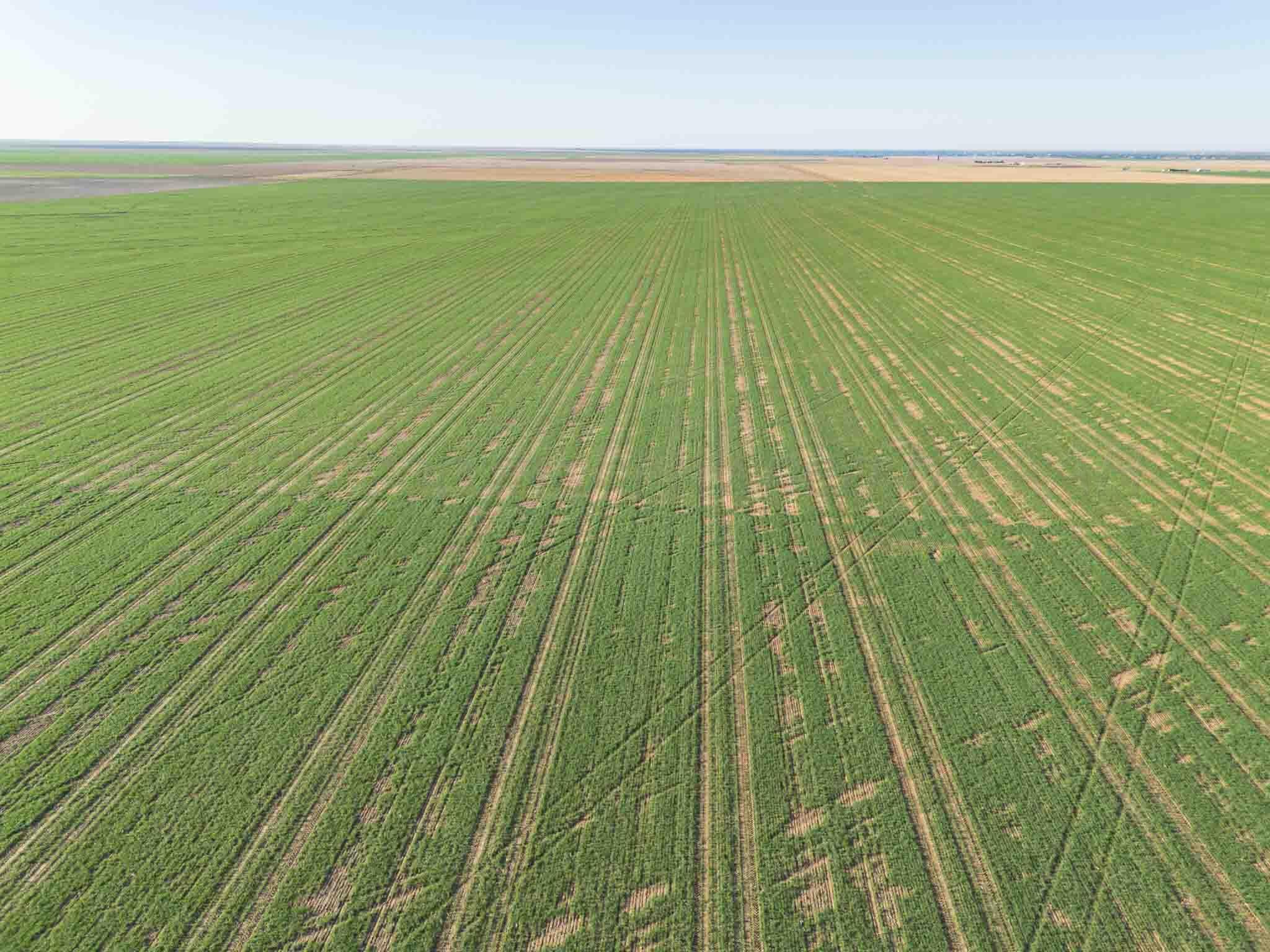 3450 S Friemel 3,474.24 Acres Pullman Road #8, Claude, Idaho image 10
