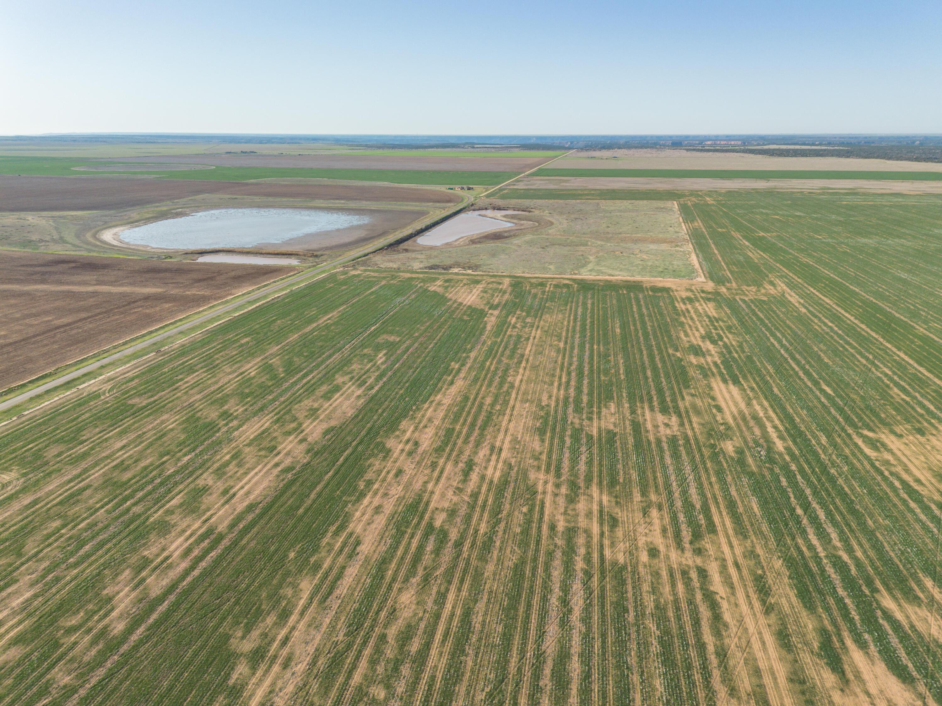 3450 S Friemel 3,474.24 Acres Pullman Road #8, Claude, Idaho image 24