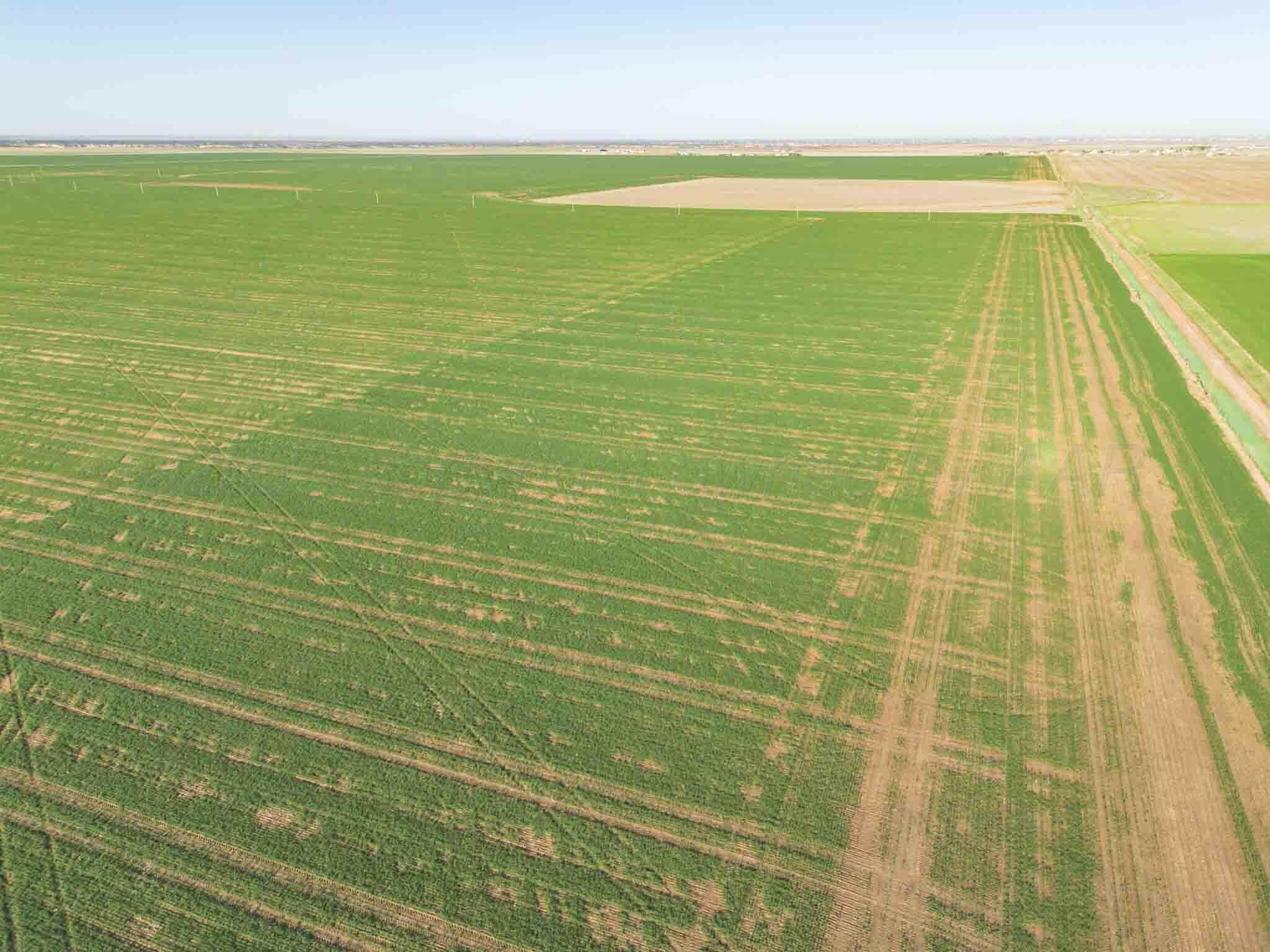 3450 S Friemel 3,474.24 Acres Pullman Road #8, Claude, Idaho image 11