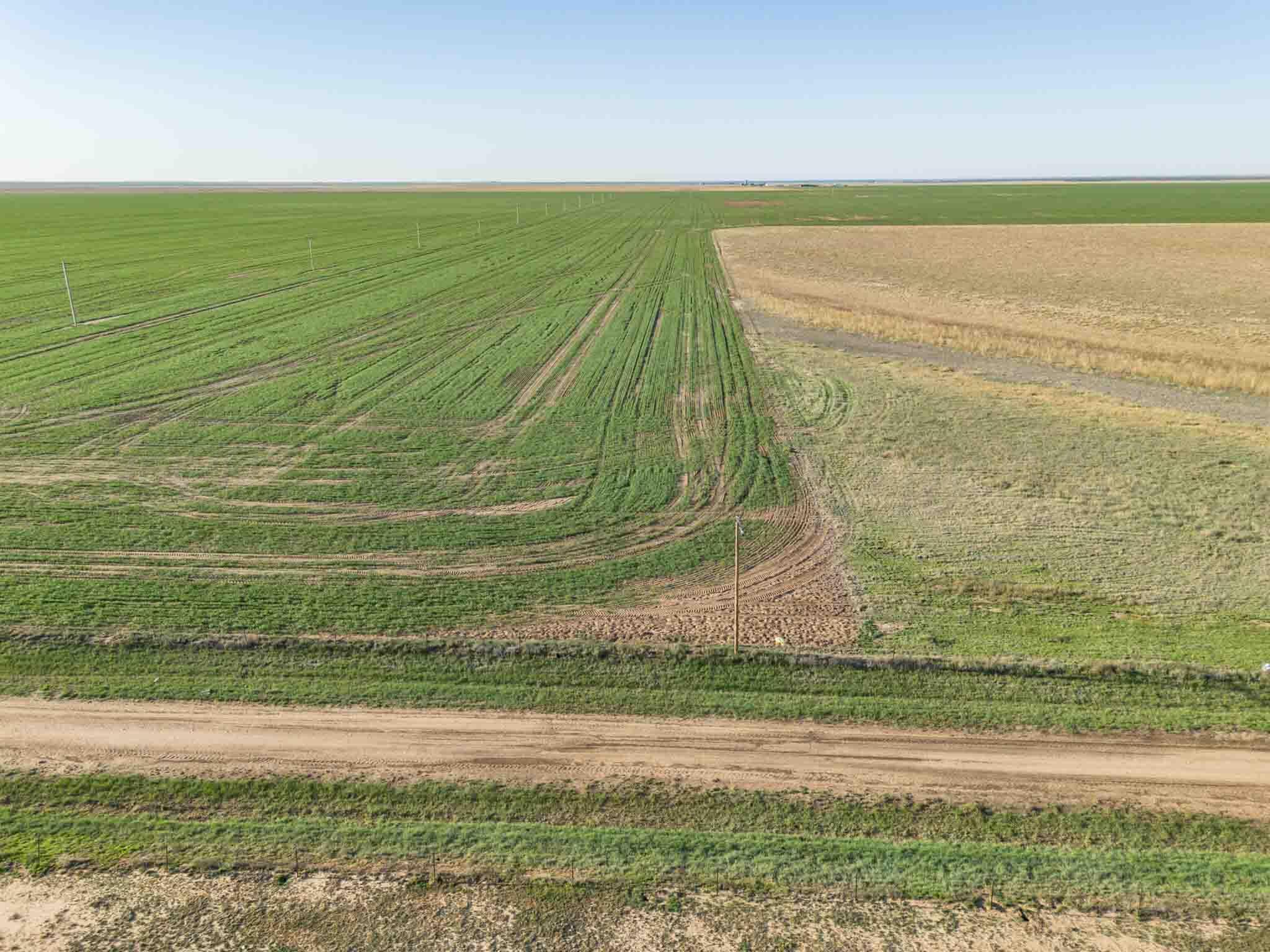3450 S Friemel 3,474.24 Acres Pullman Road #8, Claude, Idaho image 6