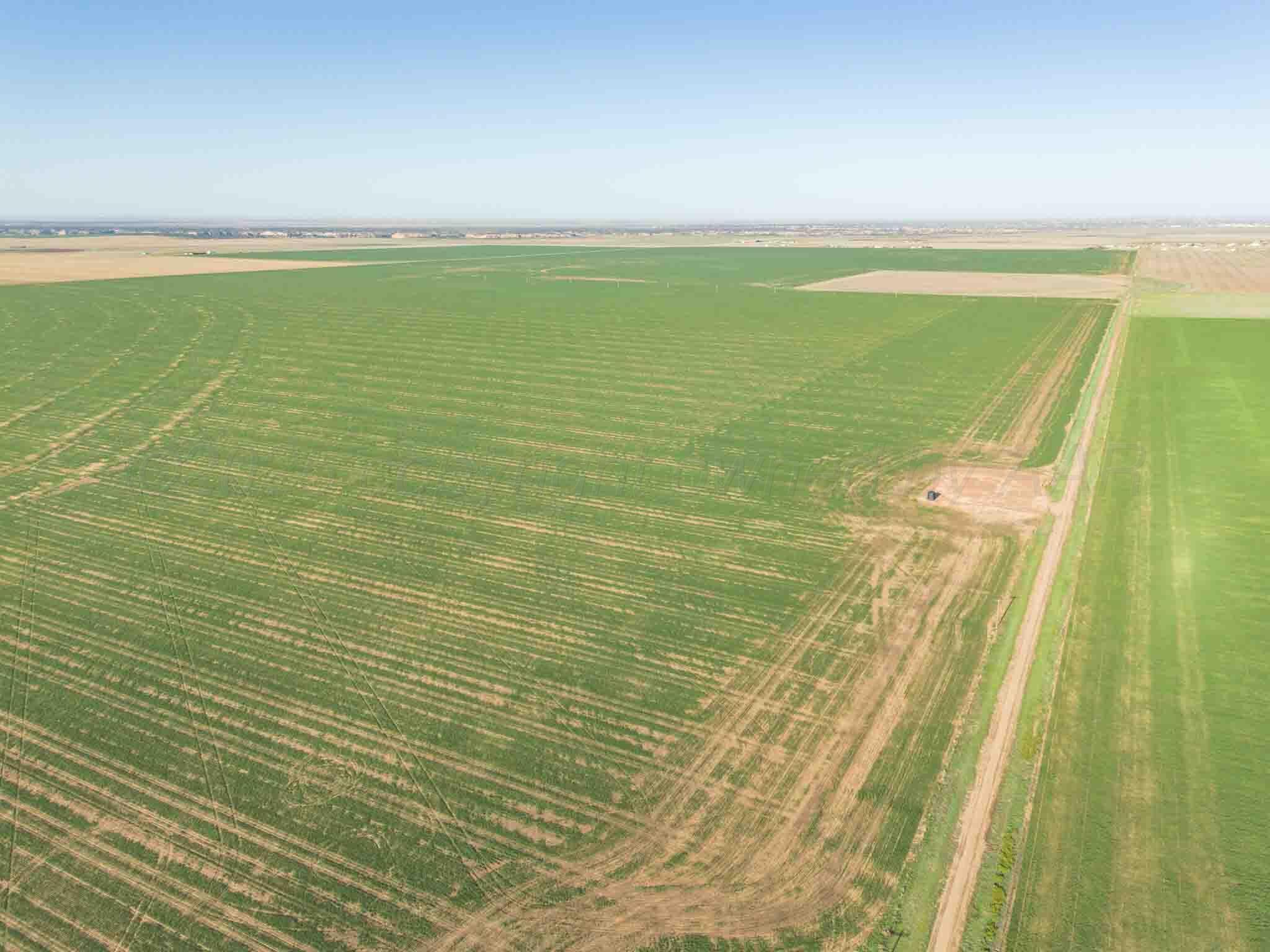 3450 S Friemel 3,474.24 Acres Pullman Road #8, Claude, Idaho image 14