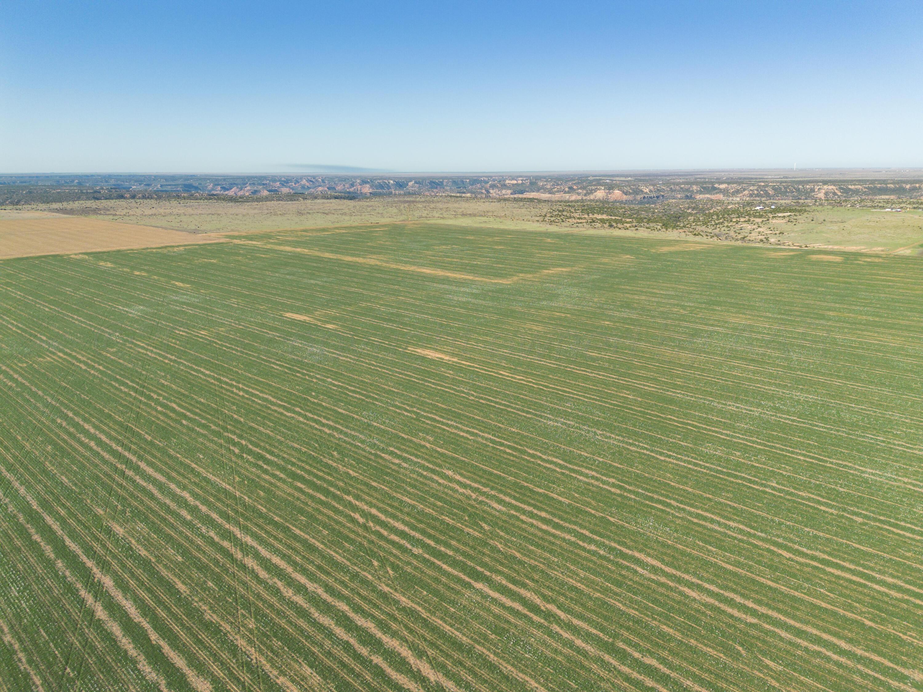 3450 S Friemel 3,474.24 Acres Pullman Road #8, Claude, Idaho image 32