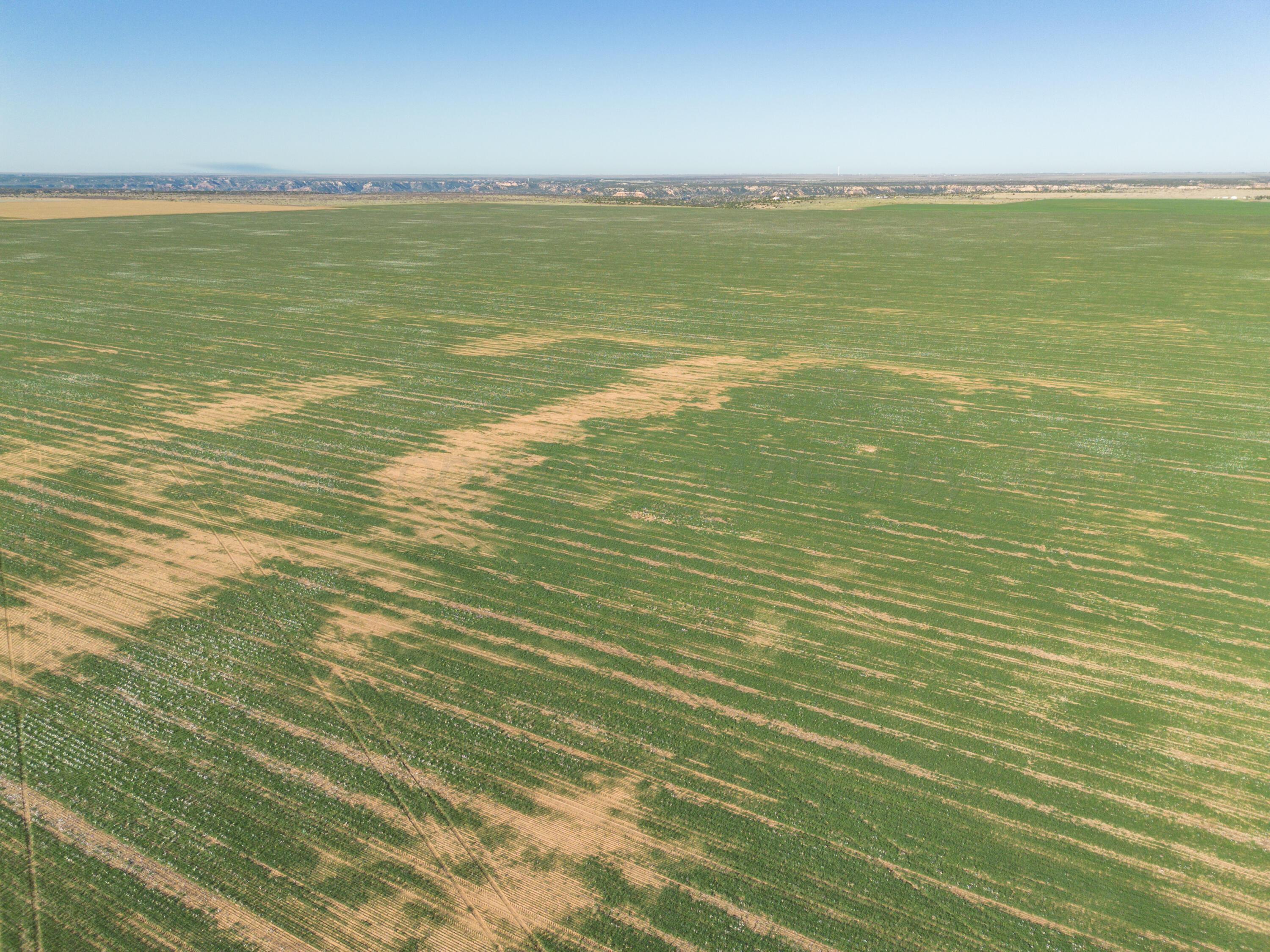 3450 S Friemel 3,474.24 Acres Pullman Road #8, Claude, Idaho image 28
