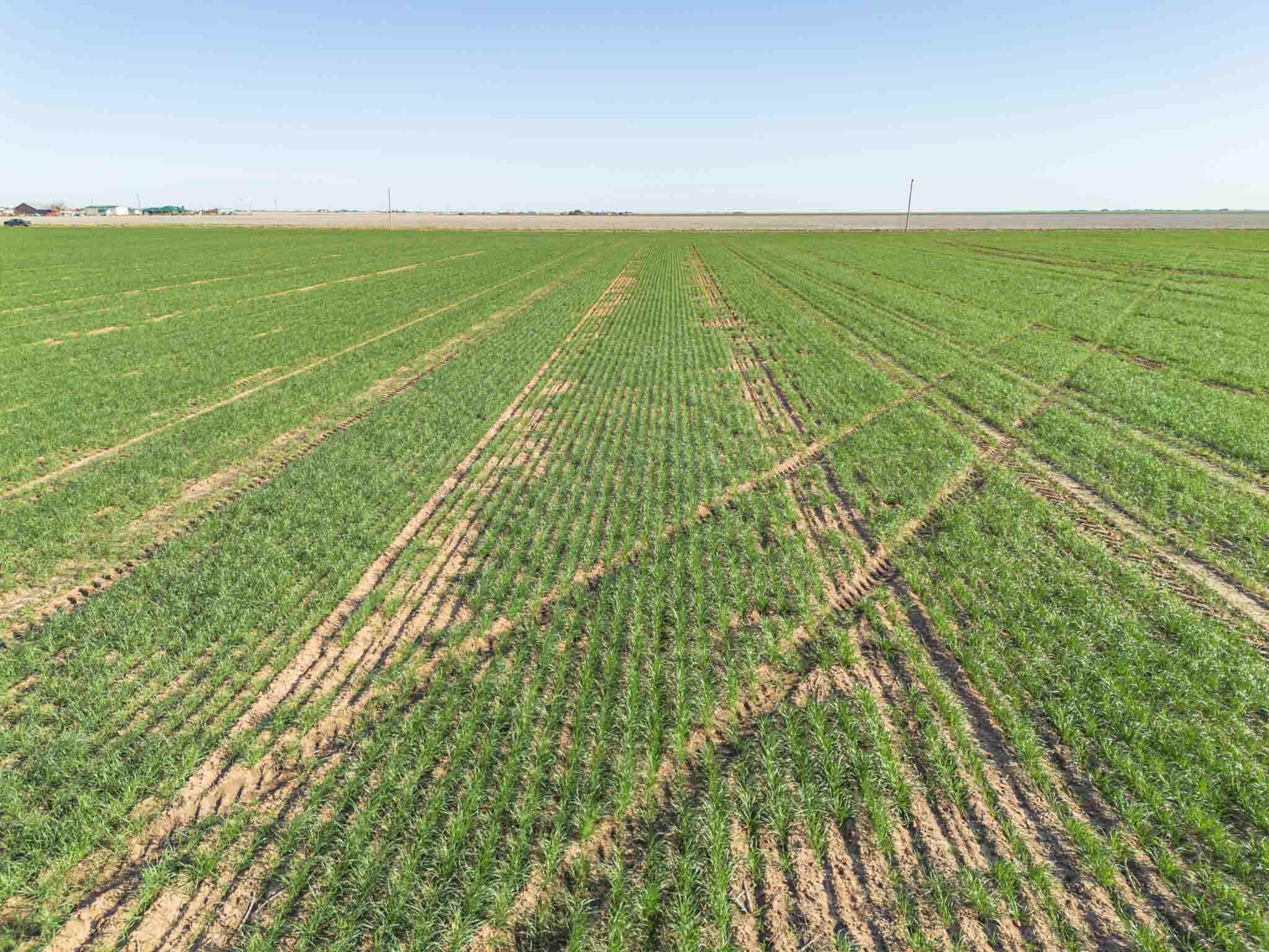 3450 S Friemel 3,474.24 Acres Pullman Road #8, Claude, Idaho image 22