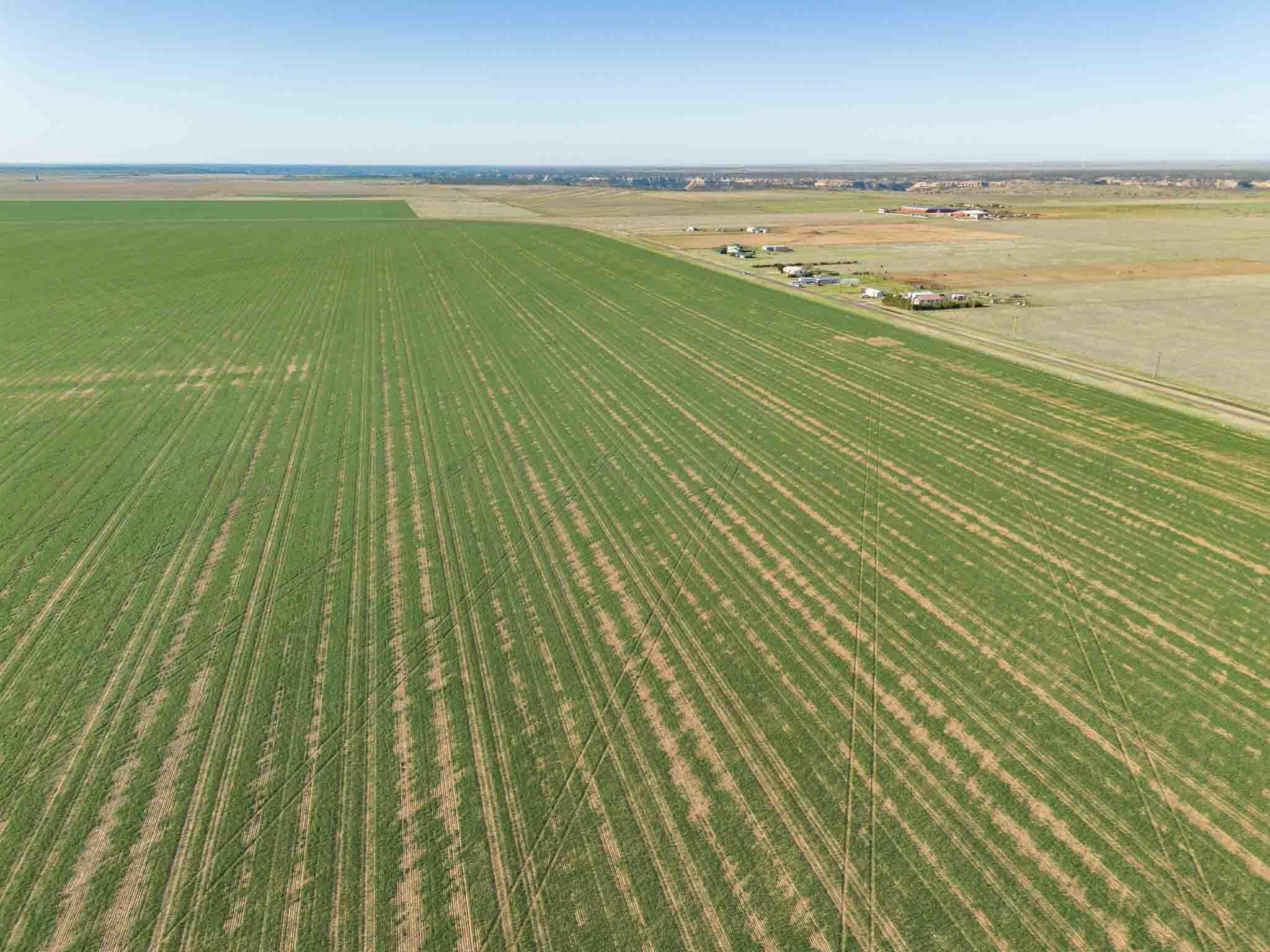 3450 S Friemel 3,474.24 Acres Pullman Road #8, Claude, Idaho image 1