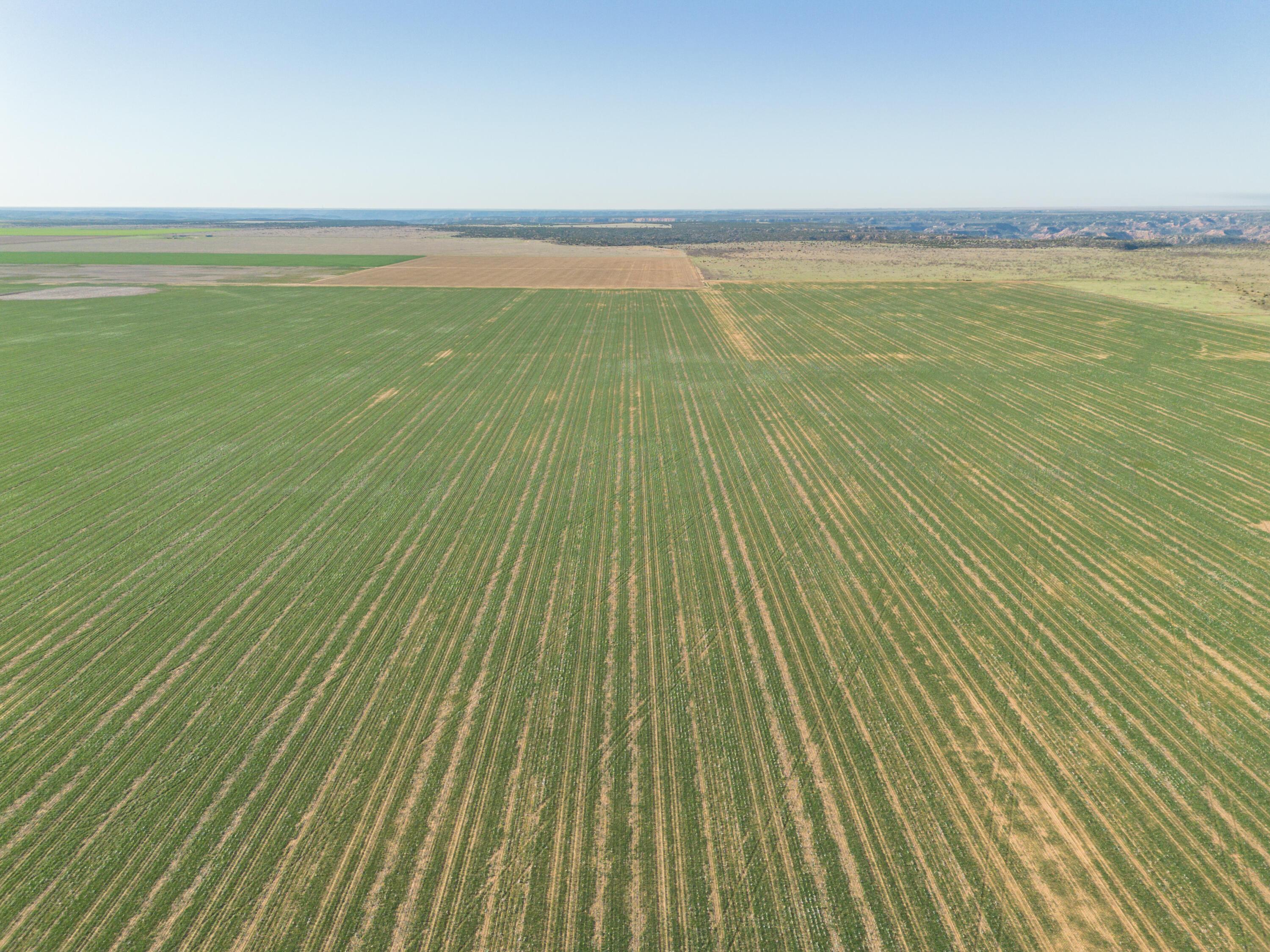 3450 S Friemel 3,474.24 Acres Pullman Road #8, Claude, Idaho image 30