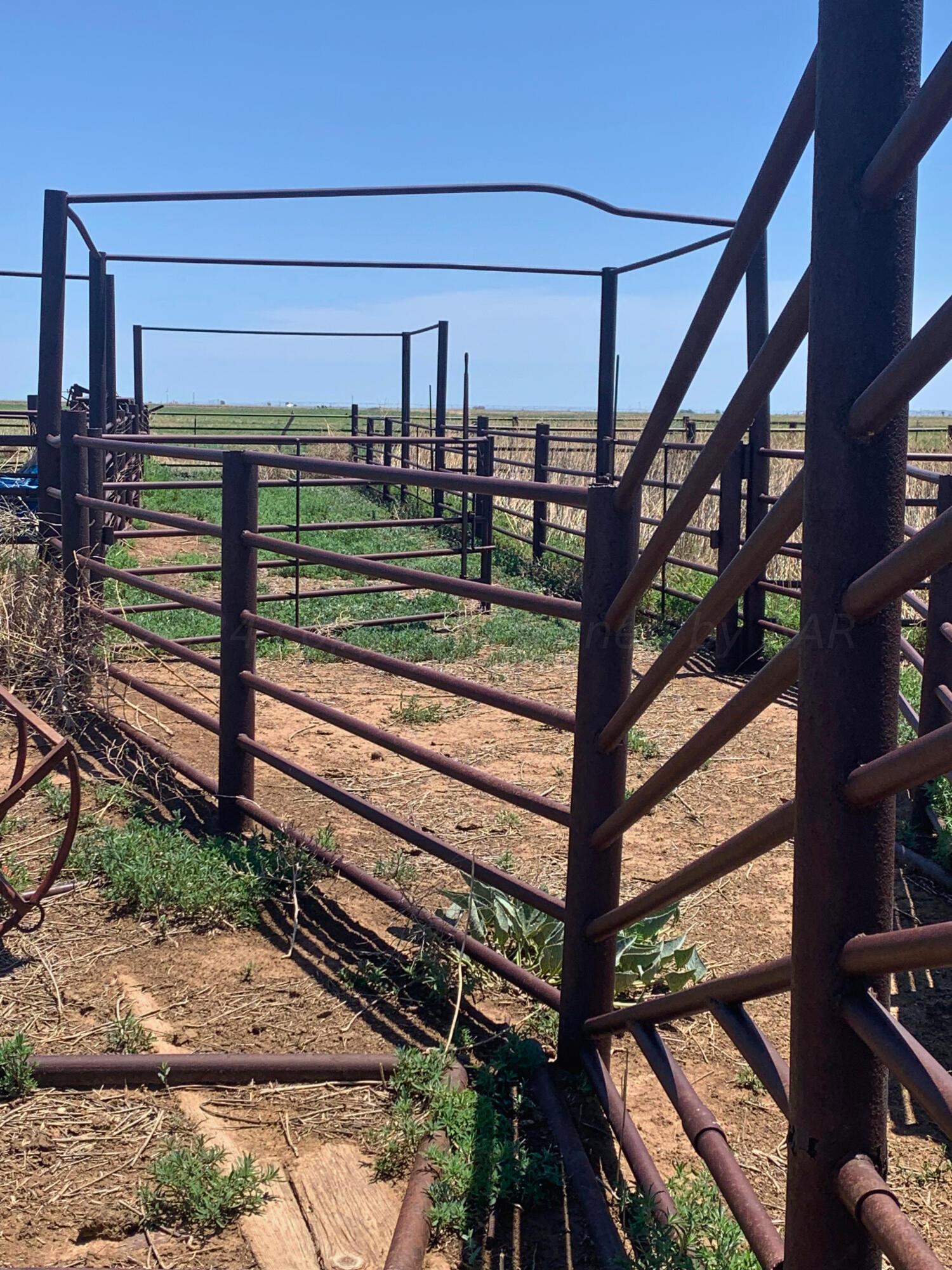 Farm, Sunray, Texas image 10