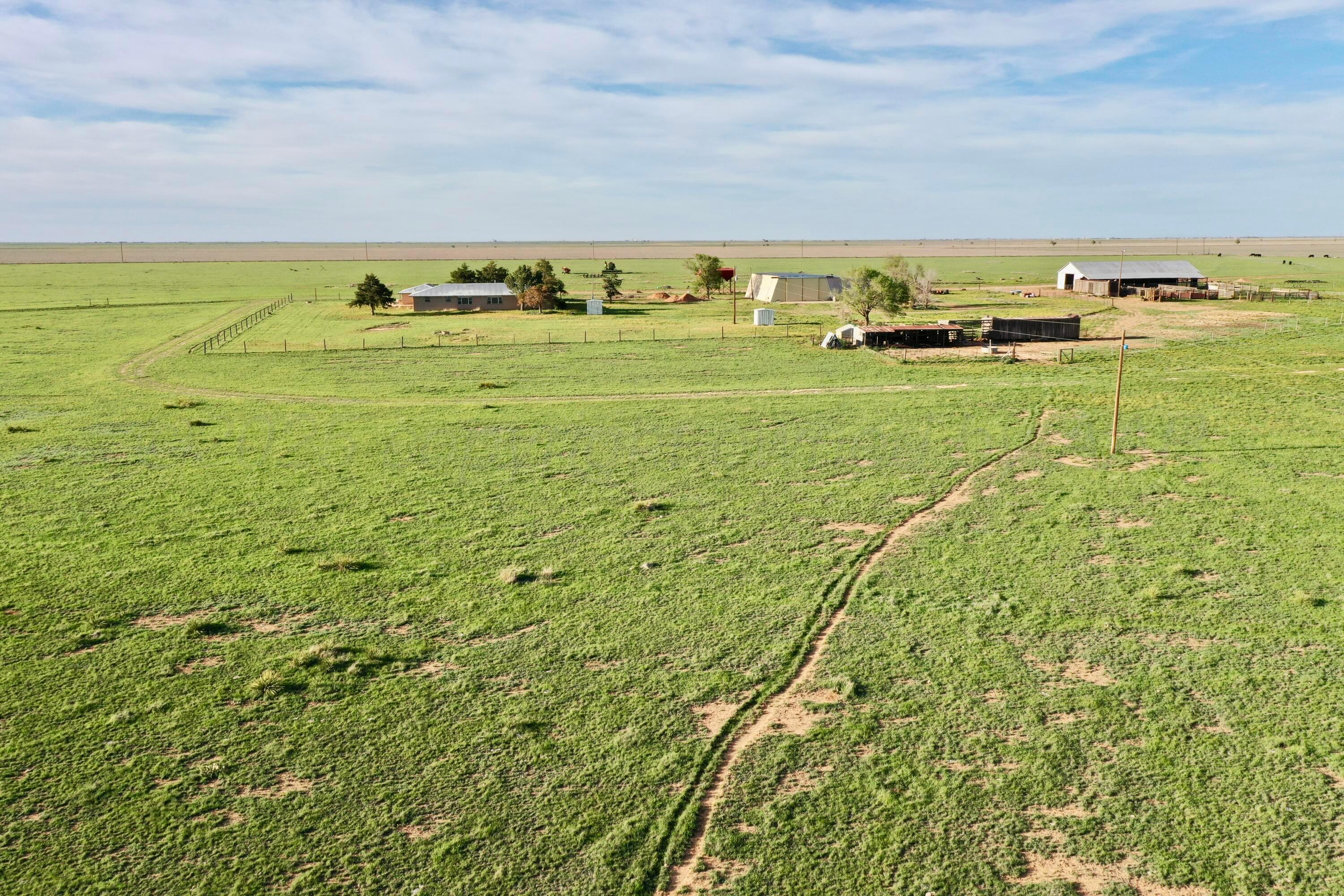 6675 N Hwy 86 St, Tulia, Idaho image 7