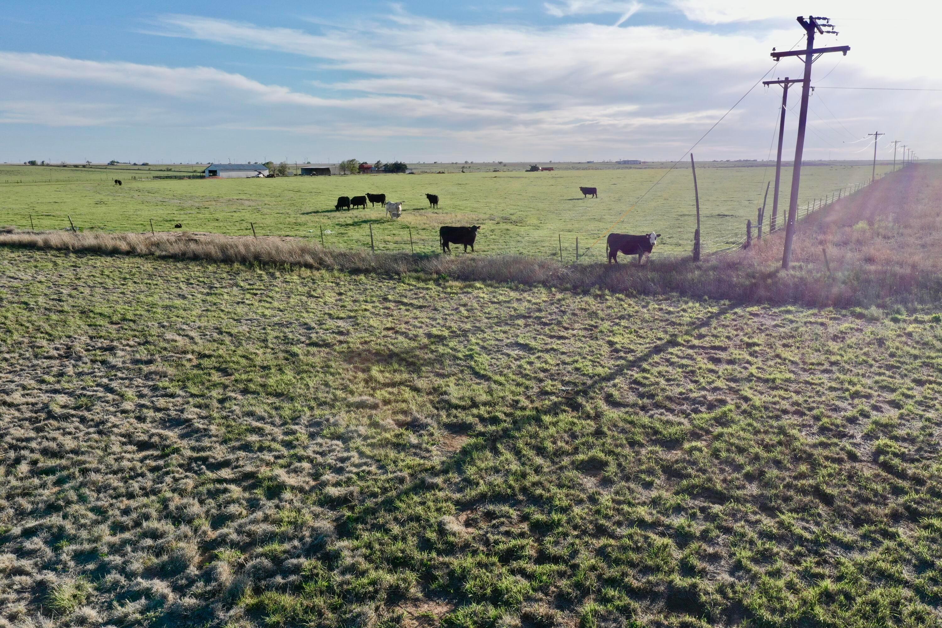 6675 N Hwy 86 St, Tulia, Idaho image 15