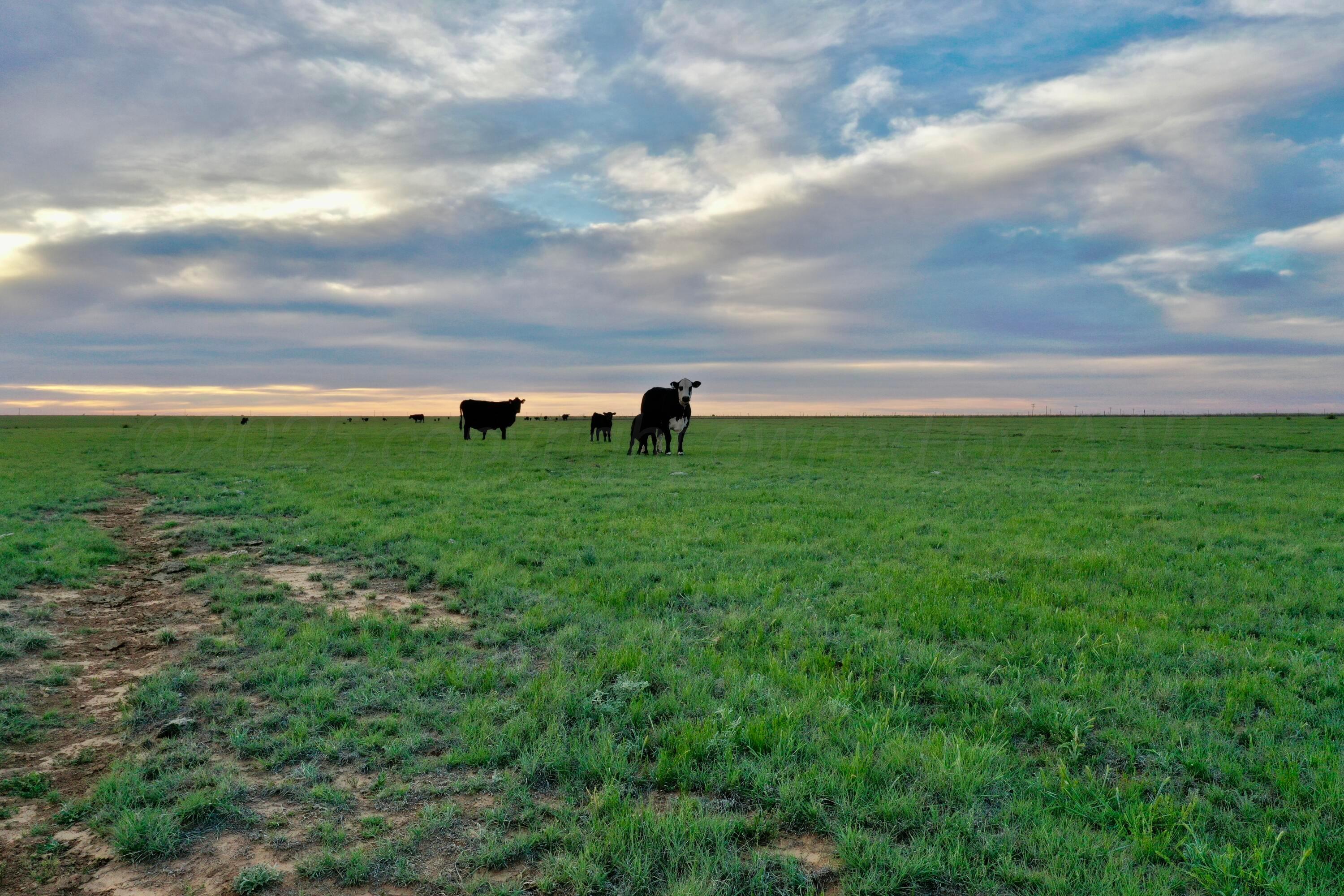 6675 N Hwy 86 St, Tulia, Idaho image 47