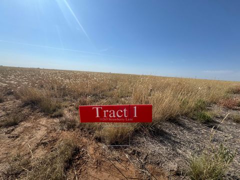 Vacant Land For Sale - 11265 Strawberry Lane<br/> Hartley, TX 79044