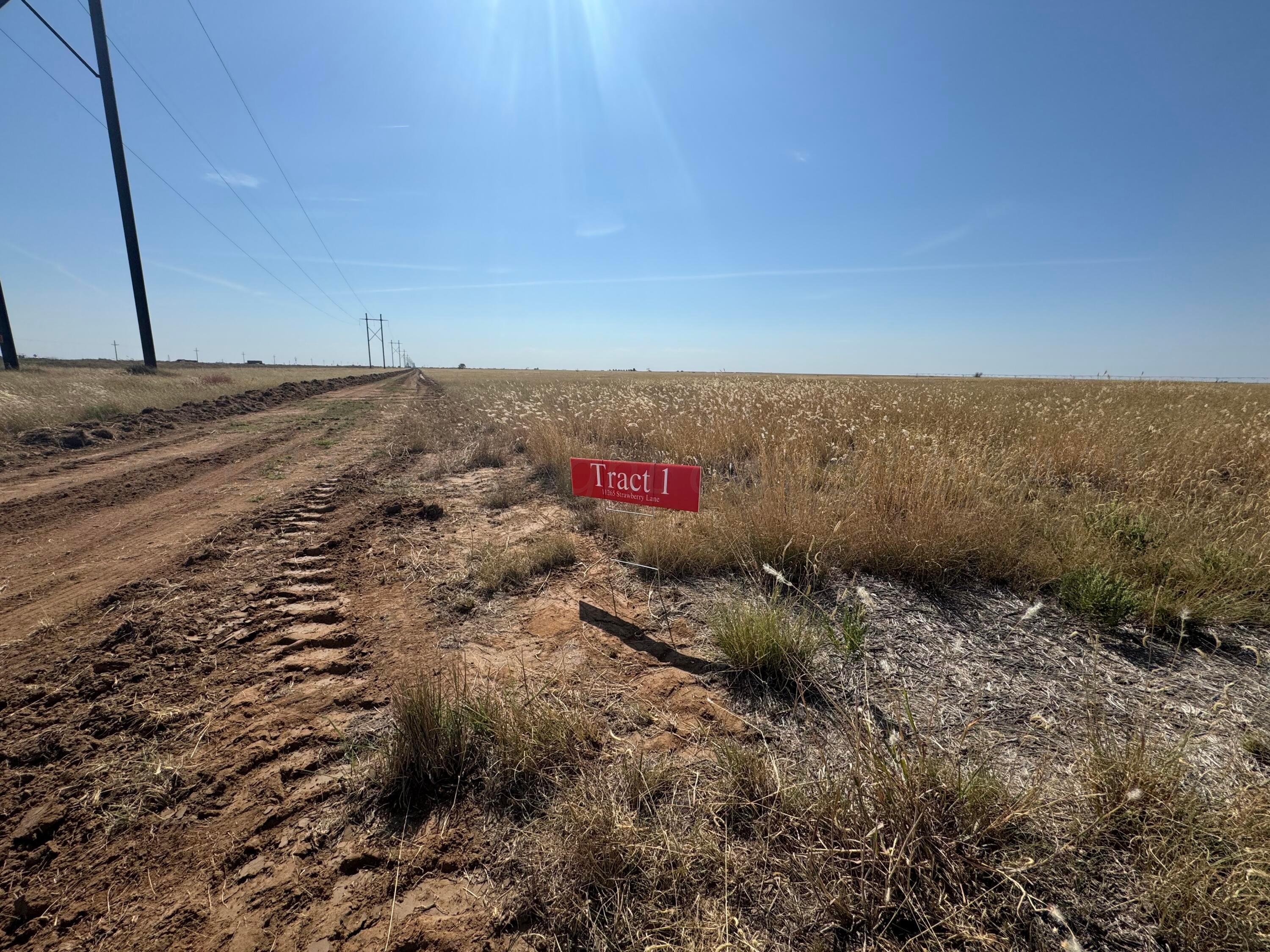 11265 Strawberry Lane, Hartley, Texas image 6