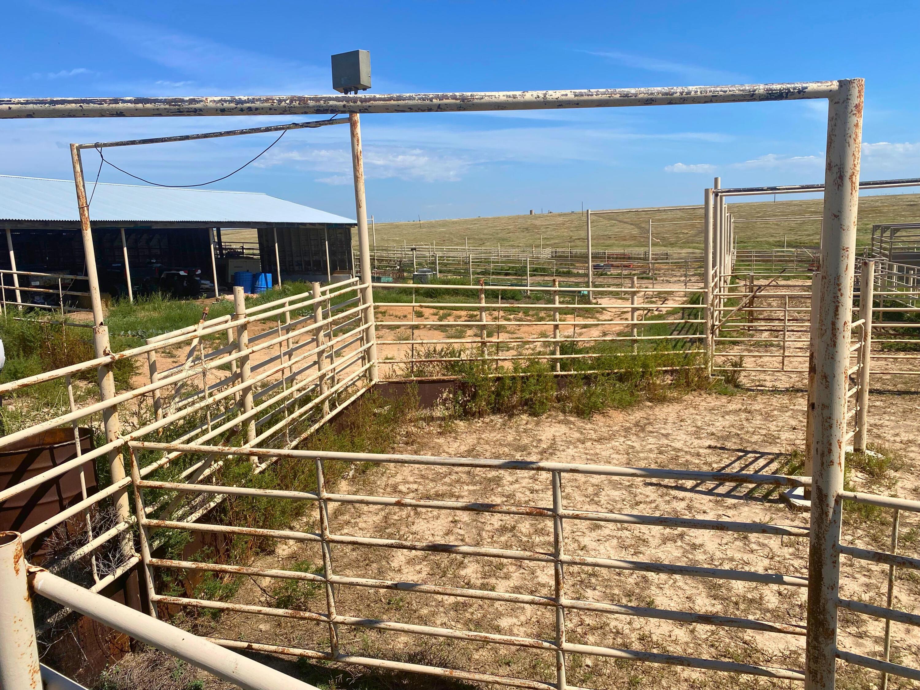 Farm, Perryton, Texas image 7