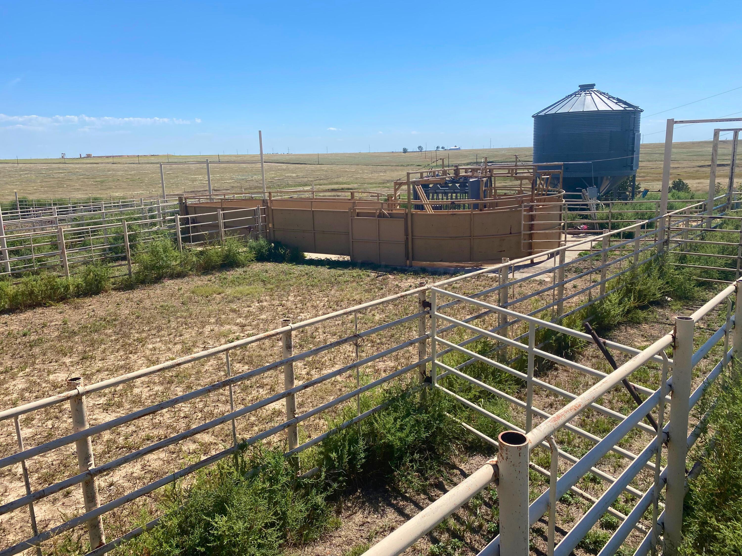 Farm, Perryton, Texas image 8