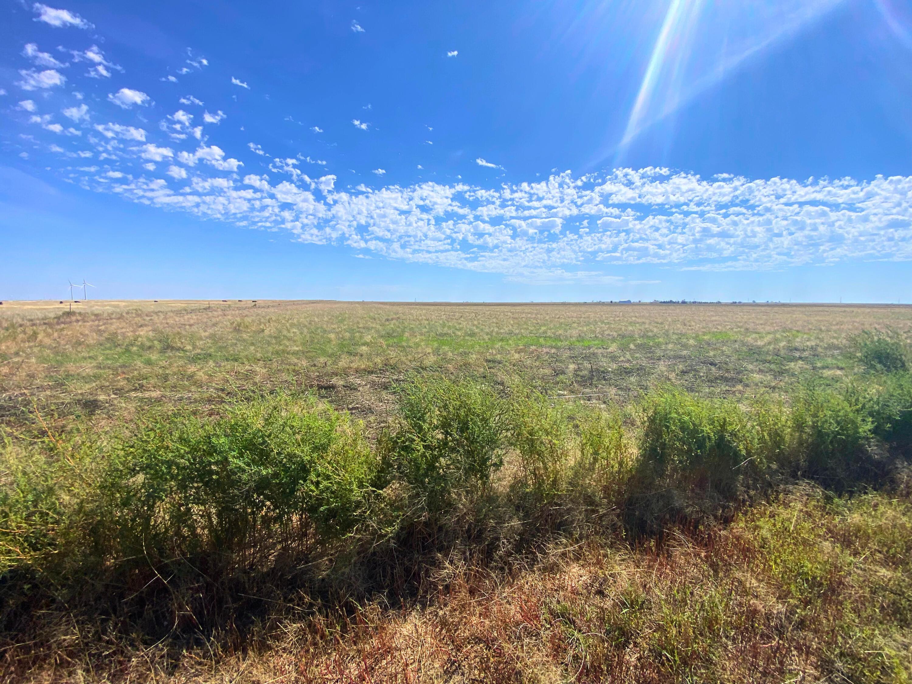 Farm, Perryton, Texas image 1