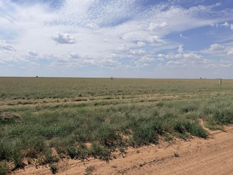 Vacant Land For Sale - 11225 Strawberry Lane<br/> Hartley, TX 79044