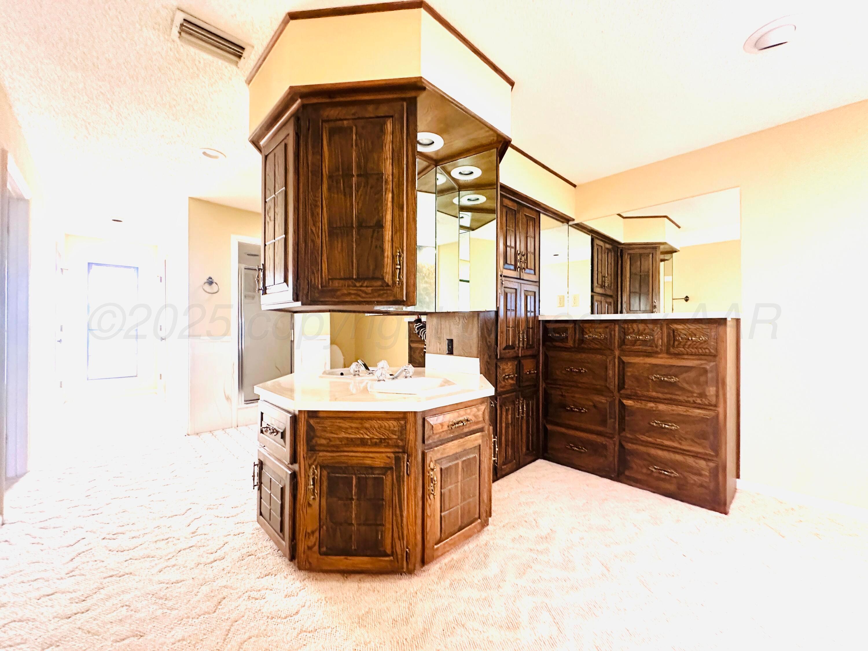 218 N Carson Avenue, Dumas, Texas image 29