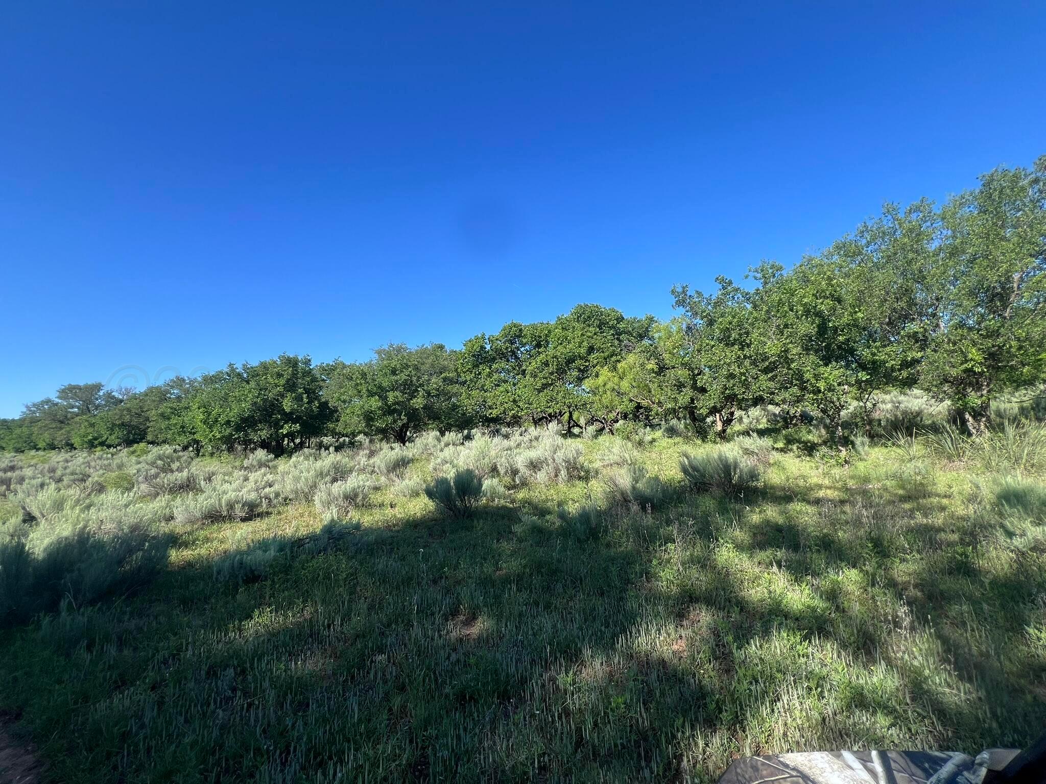TBD Fm 2472, Lakeview, Texas image 6